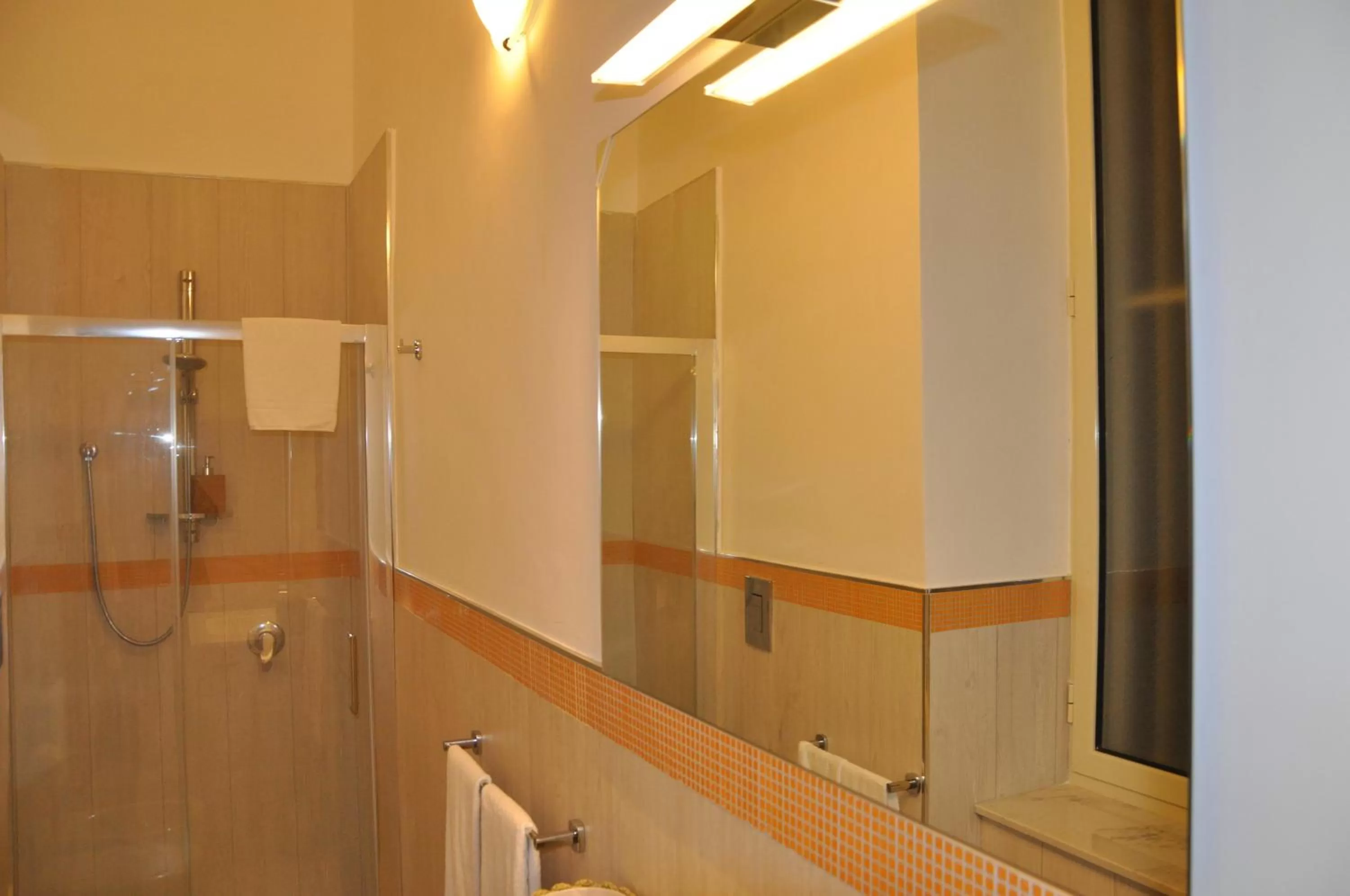 Bathroom in Domus Borbonica