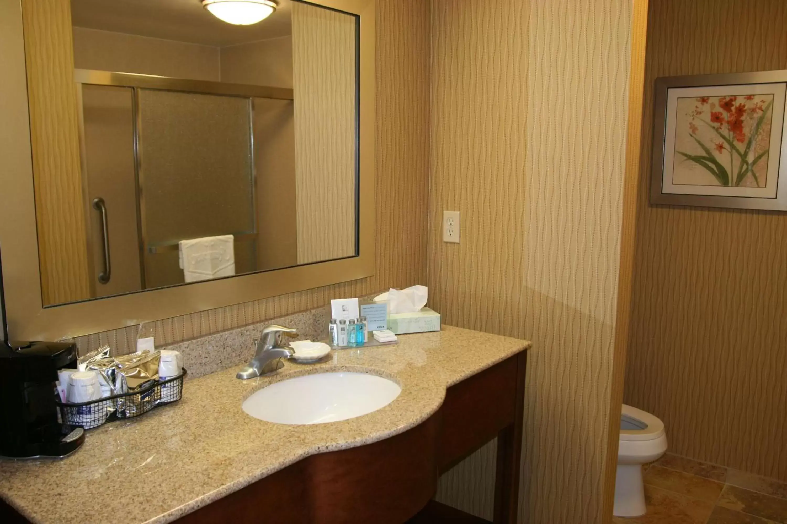 Bathroom in Hampton Inn & Suites Exmore - Eastern Shore