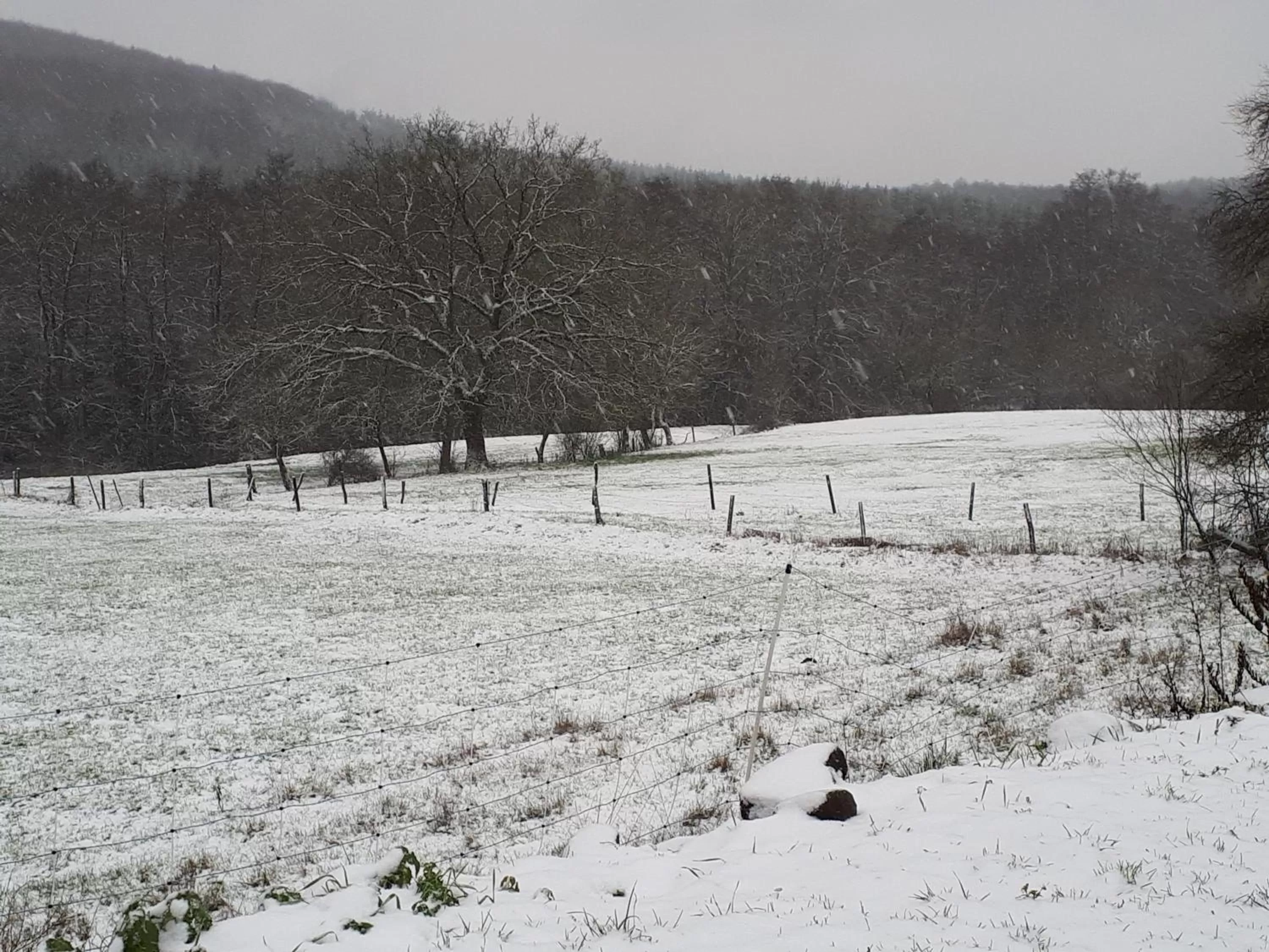 Property building in kleinHOTEL Steinau-Rabenstein GbR