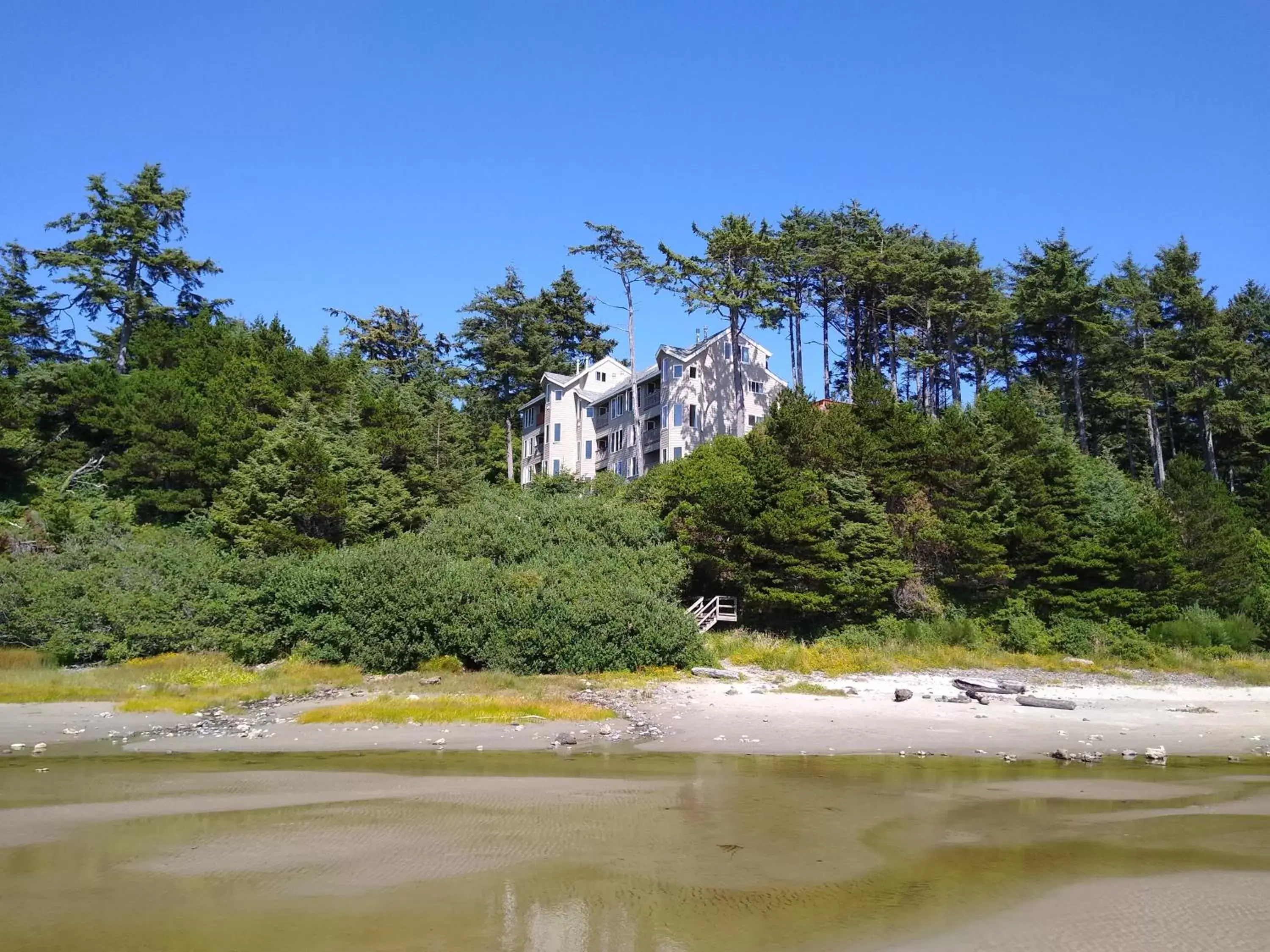 Beach in Starfish Point