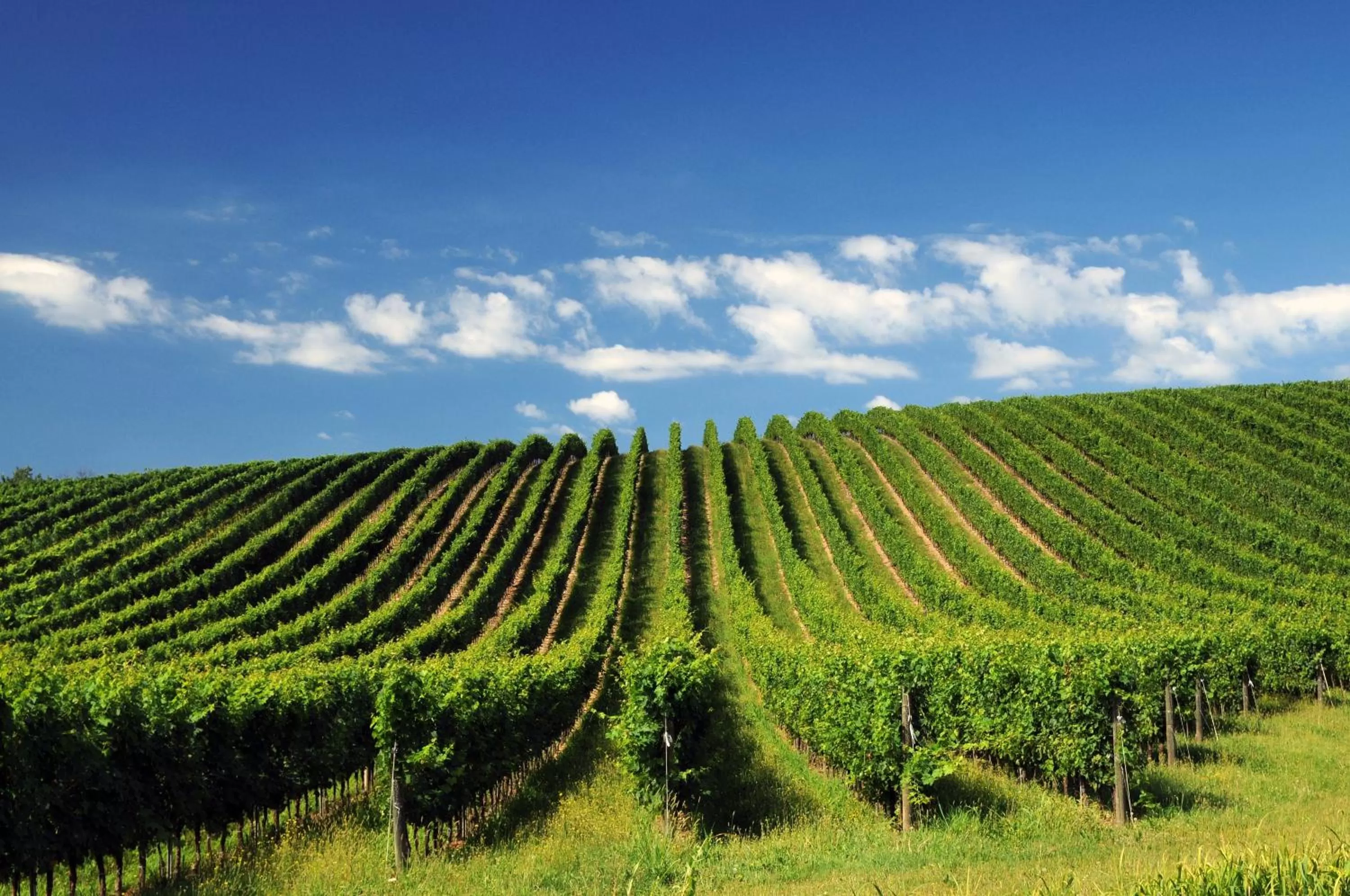 Area and facilities in B&B HOTEL Eurorest Conegliano