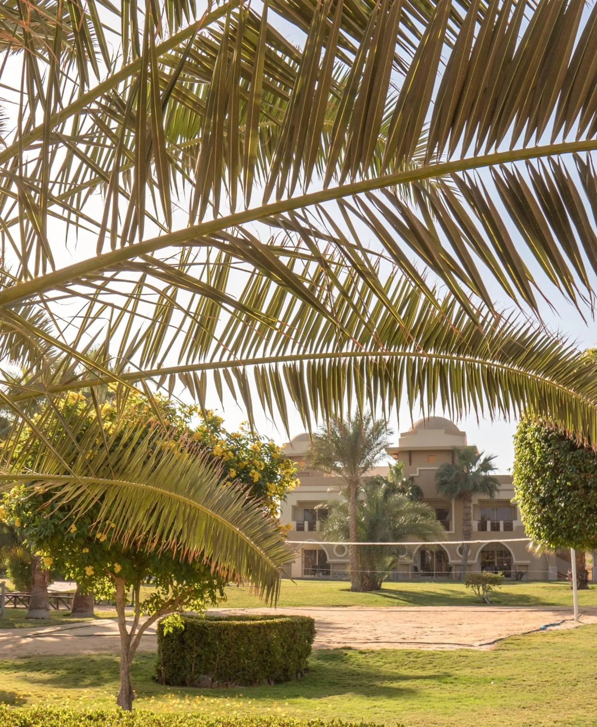 Property building in Serenity Alpha Beach - Ex Serenity Makadi Beach