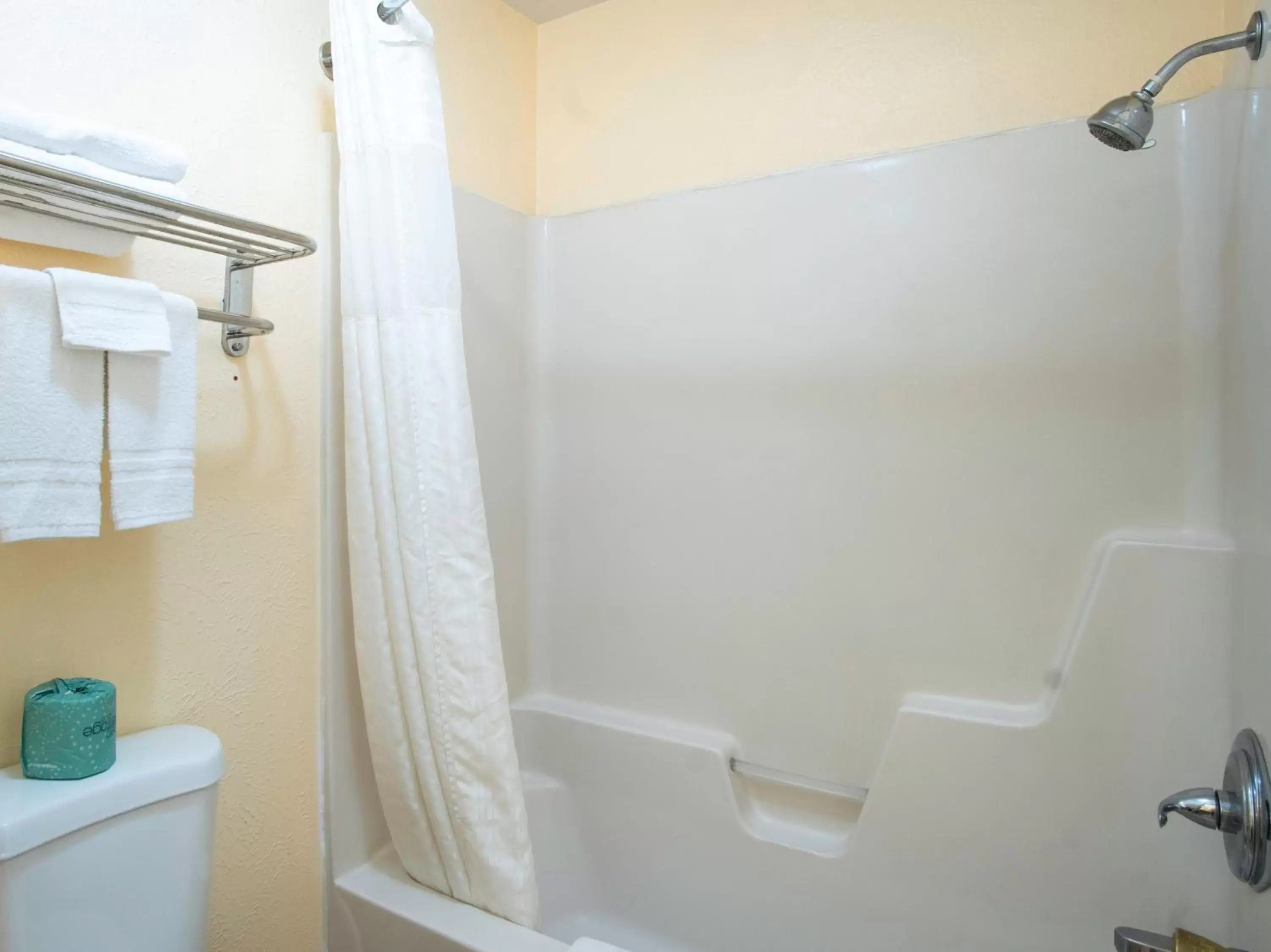 Shower, Bathroom in Nendels Inn & Suites Dodge City Airport