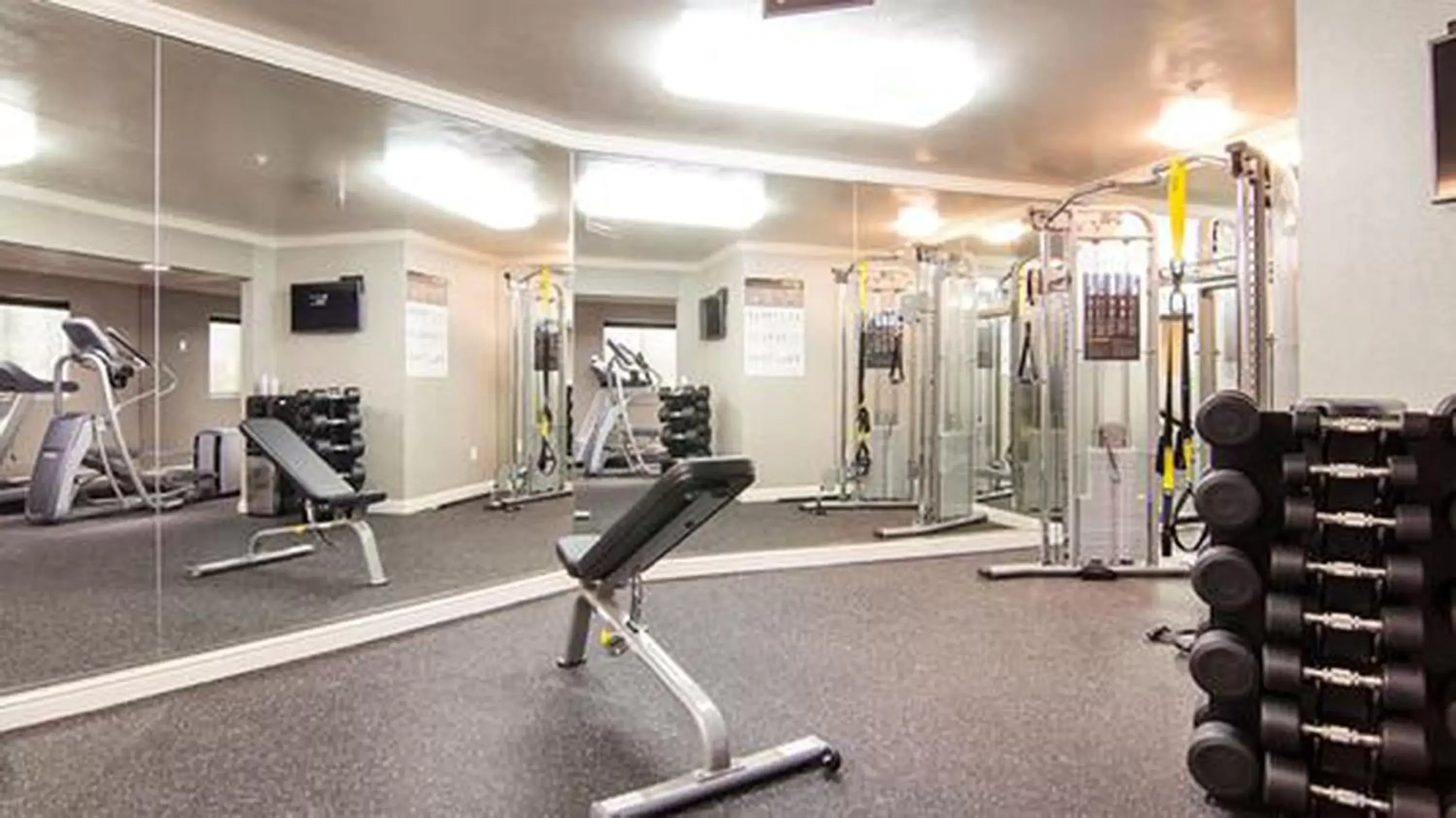 Fitness centre/facilities, Fitness Center/Facilities in The Zen Hotel Palo Alto