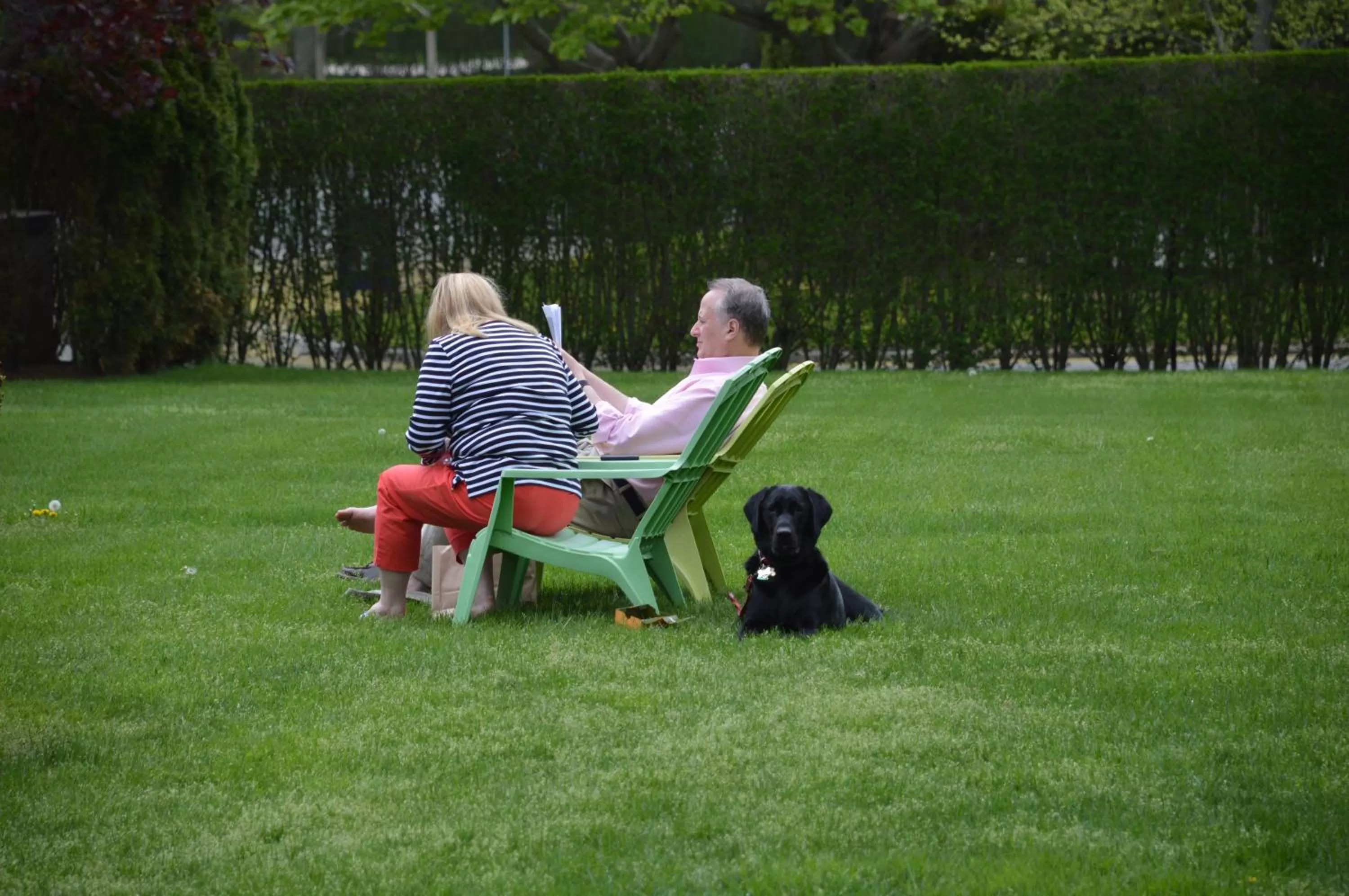 Pets in Southampton Inn