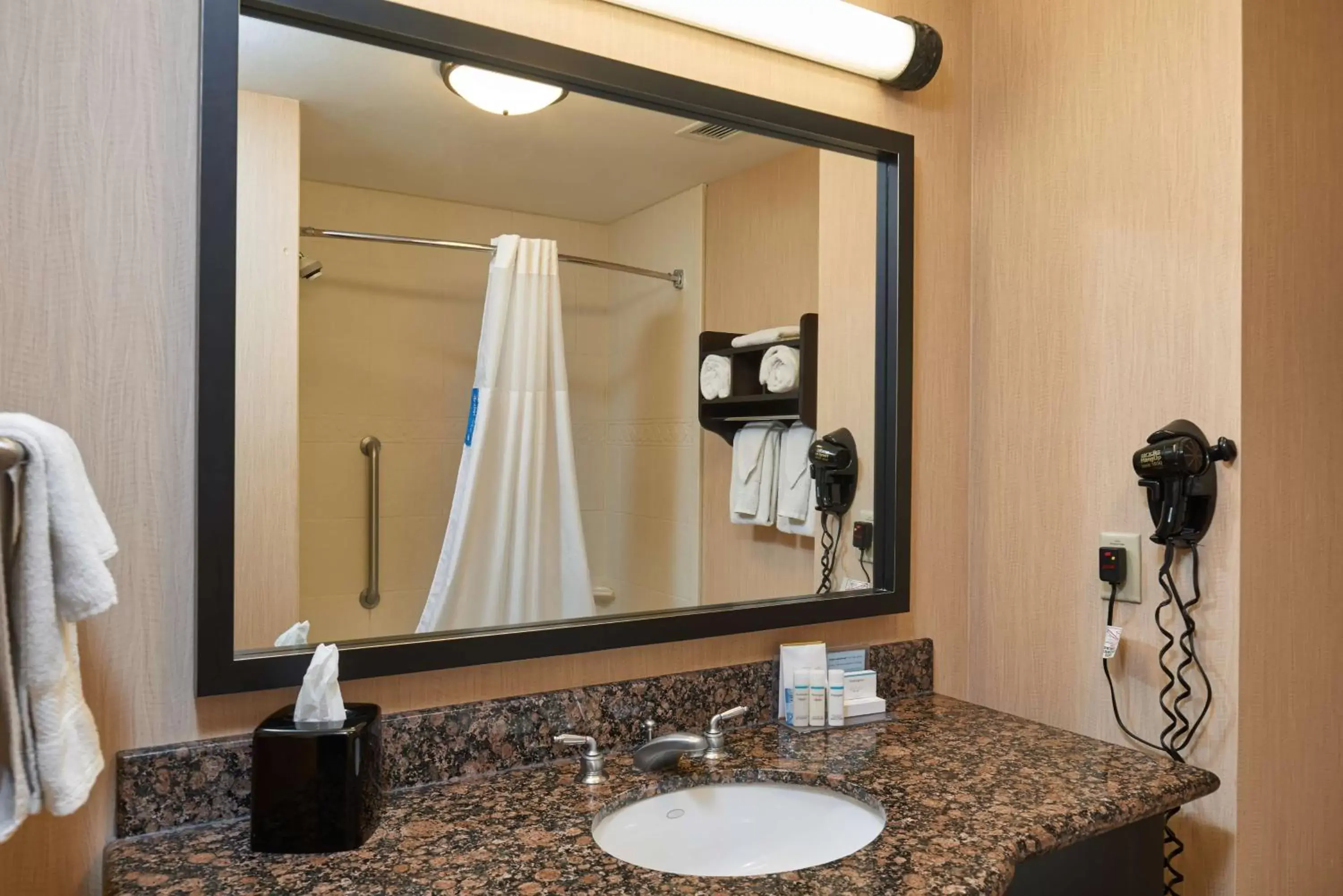 Bathroom in Hampton Inn & Suites Waco-South