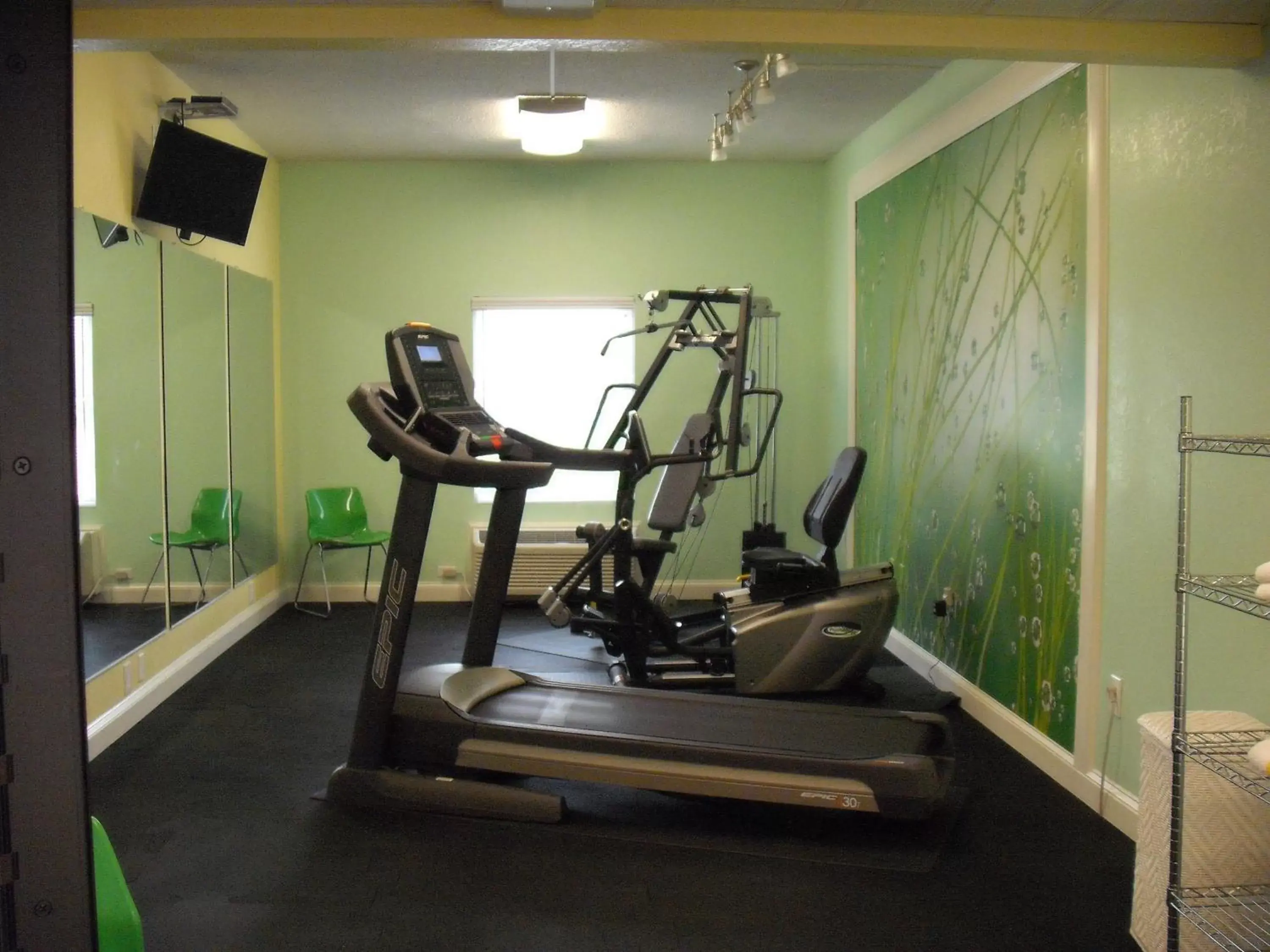 Fitness centre/facilities, Fitness Center/Facilities in Mountain Inn & Suites