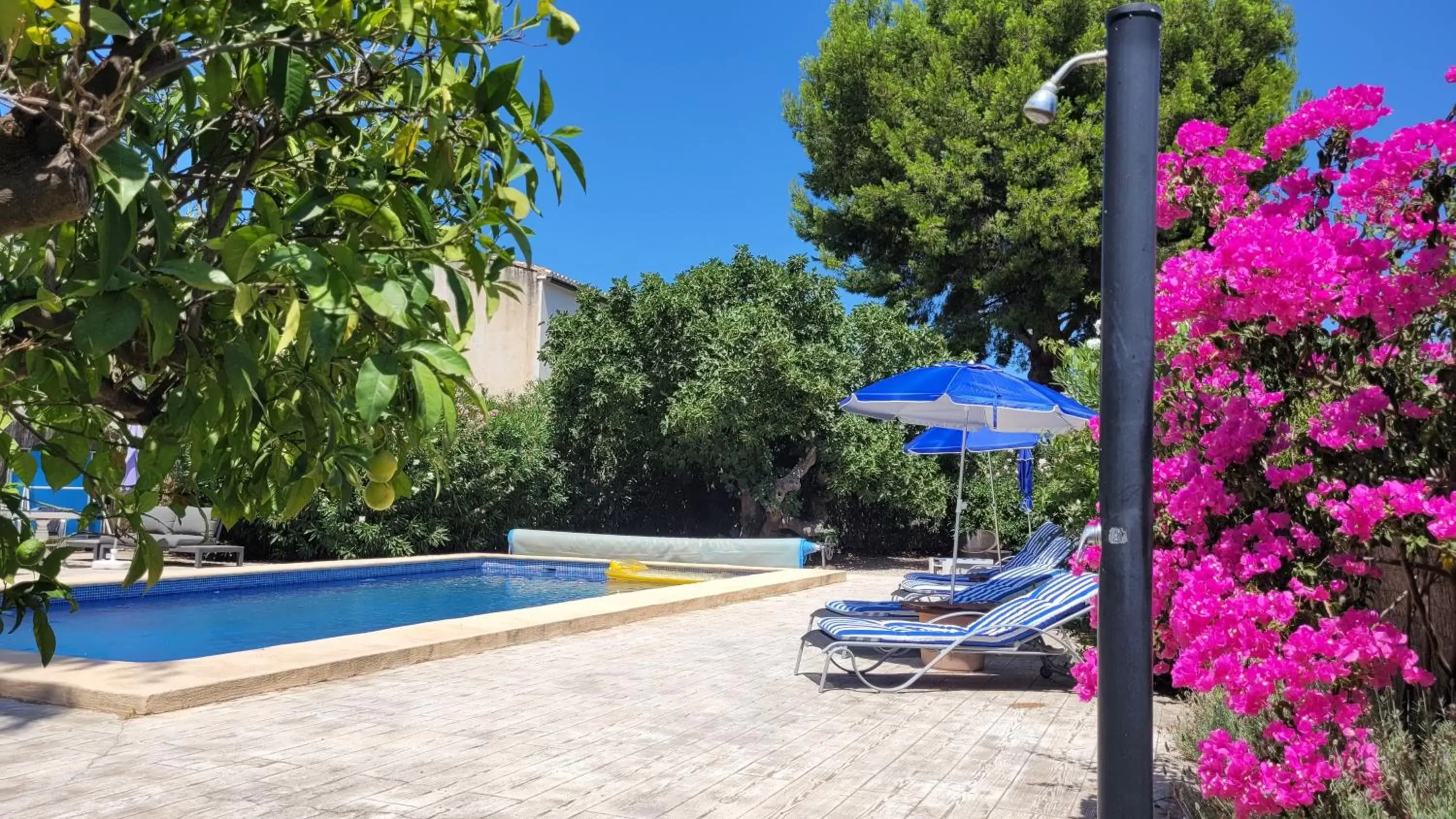 Swimming Pool in Casa Alestelou