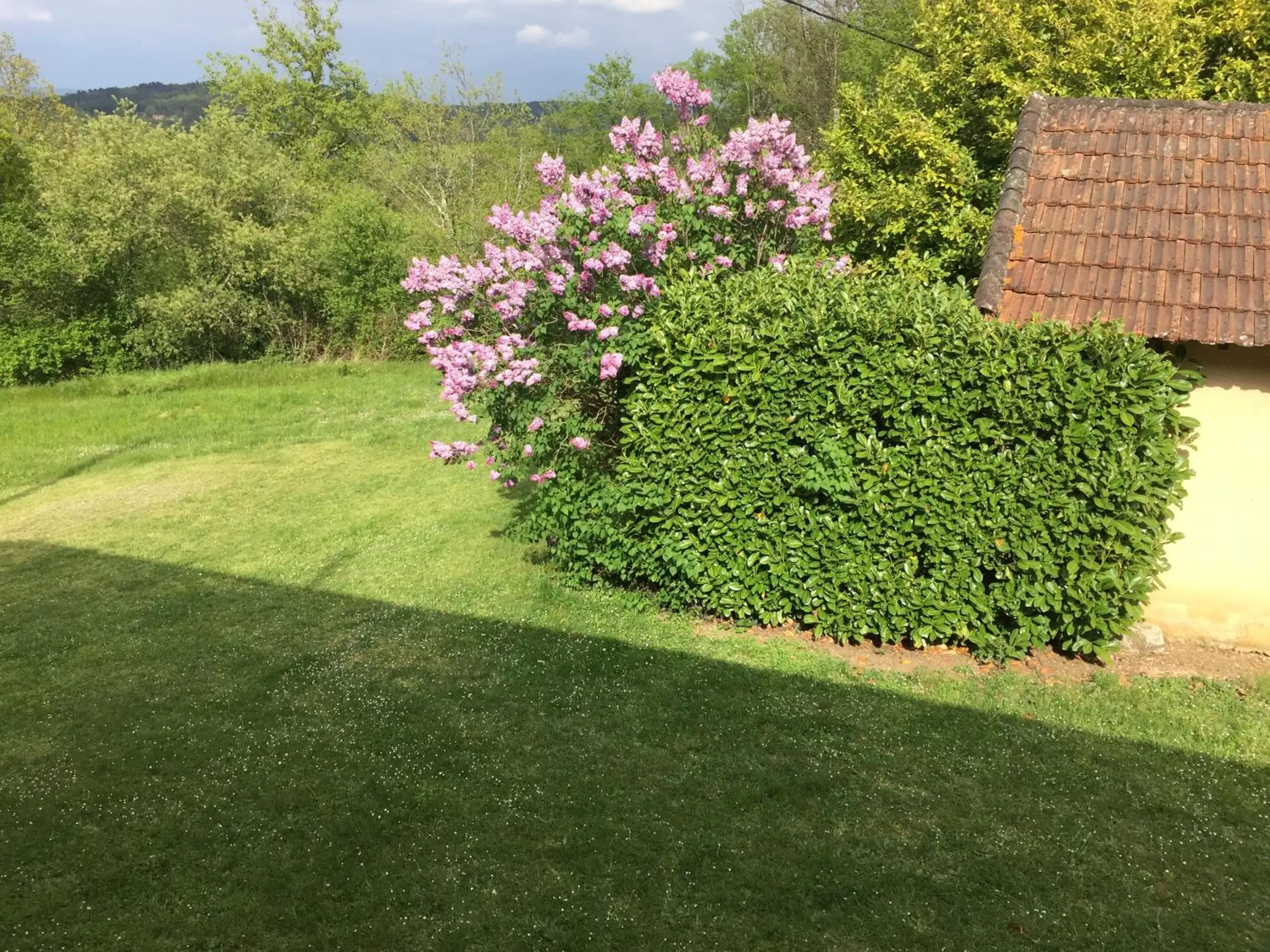 Garden view, Garden in Domaine de Lascaux