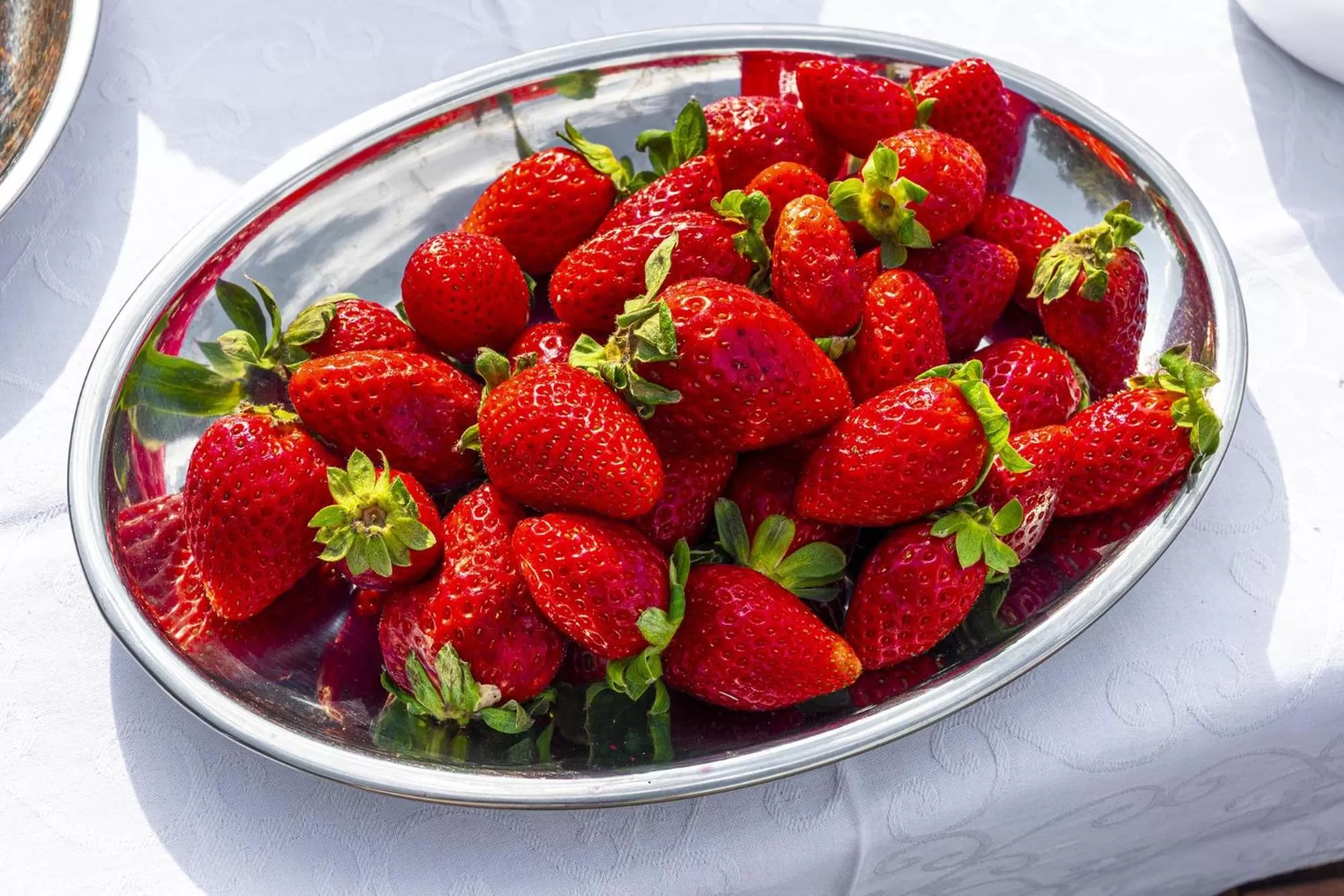 Comfort Stay Athens Airport Hotel - FREE shuttle from and to the airport