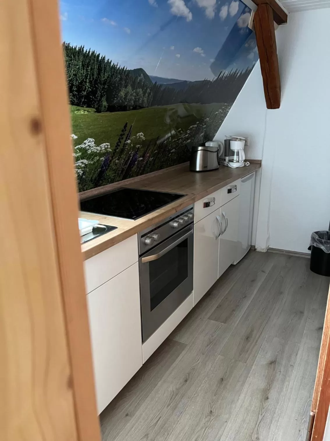 Kitchen or kitchenette in Hotel Waldmühle