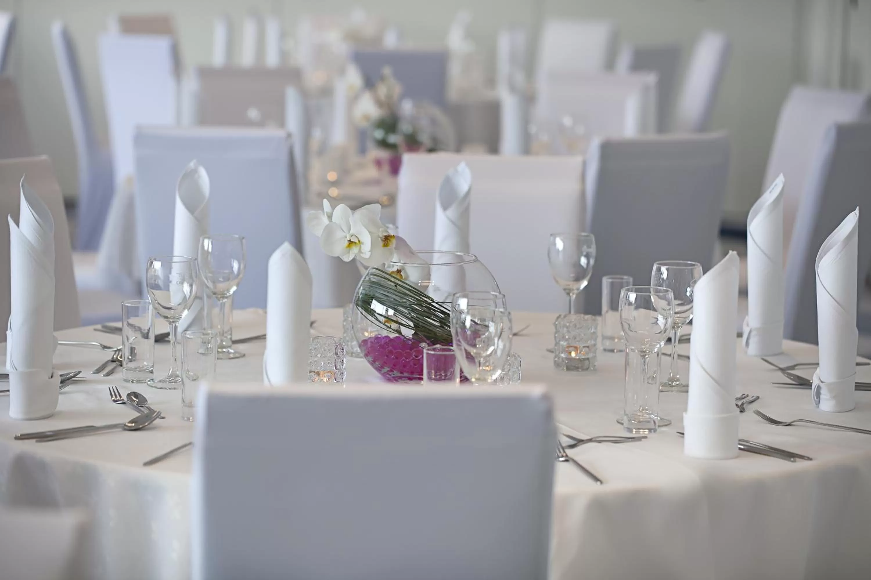 Banquet/Function facilities in Novotel Katowice Centrum
