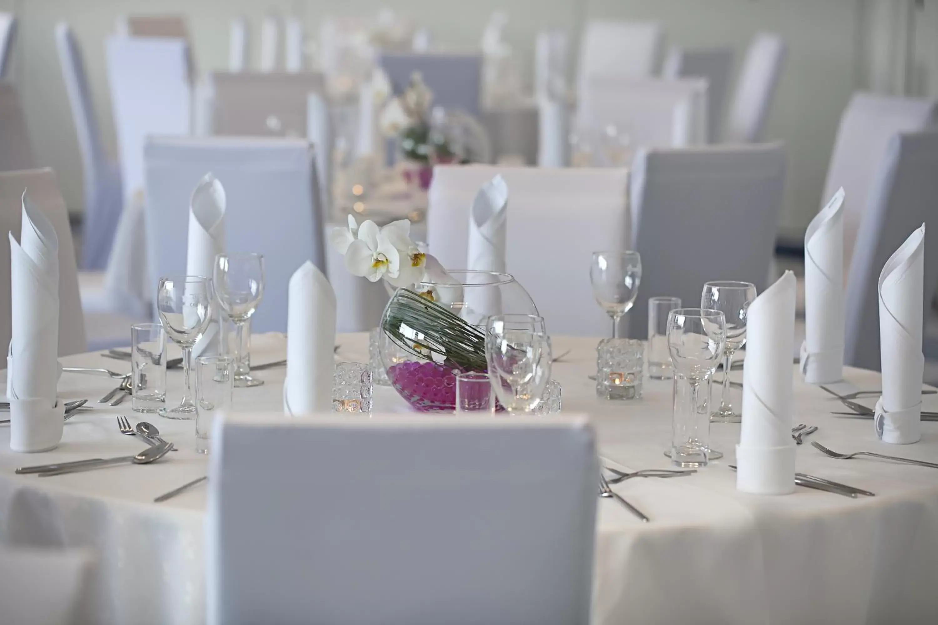 Banquet/Function facilities, Restaurant/Places to Eat in Novotel Katowice Centrum