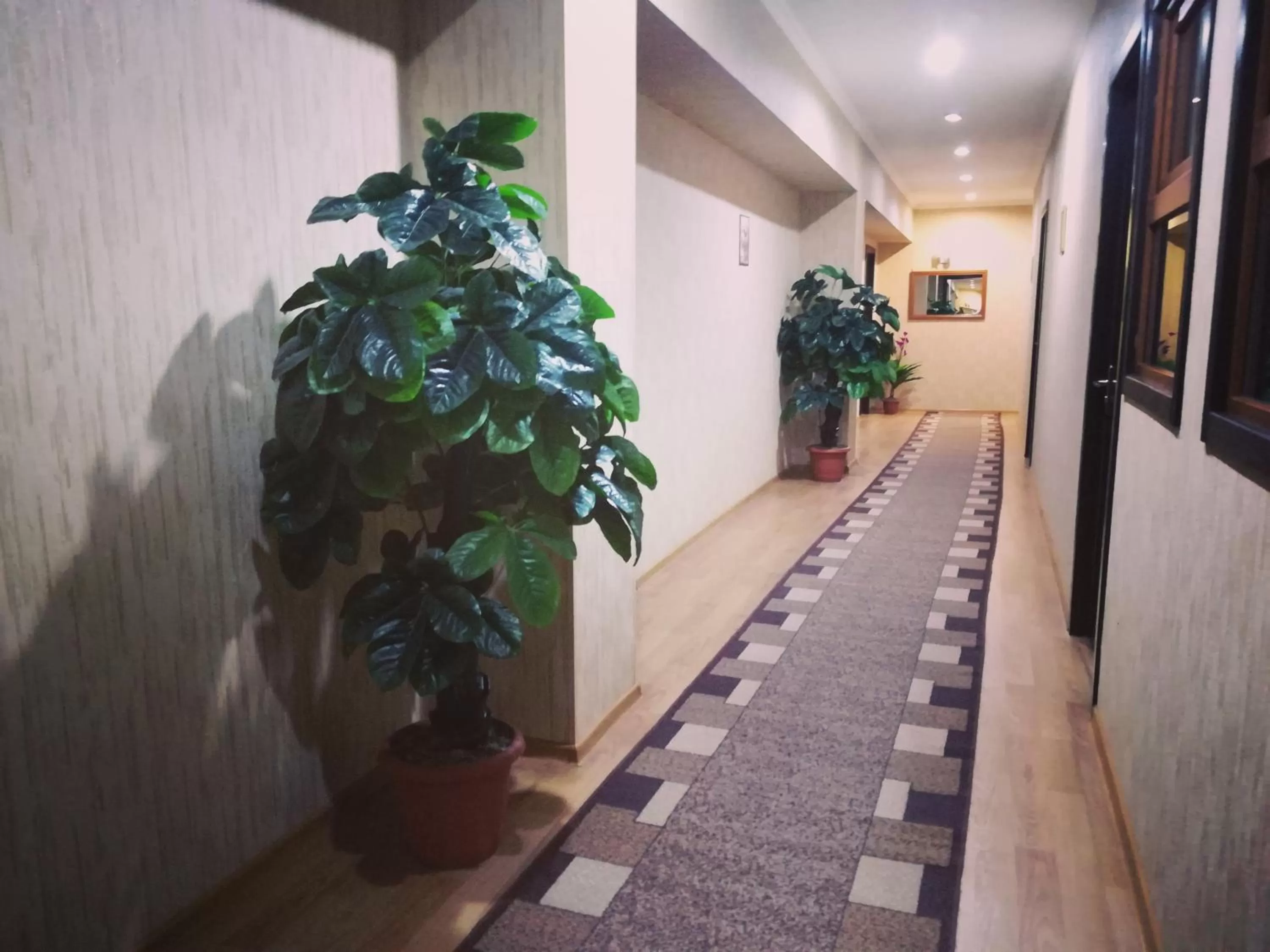 Property building in Hotel Elegant