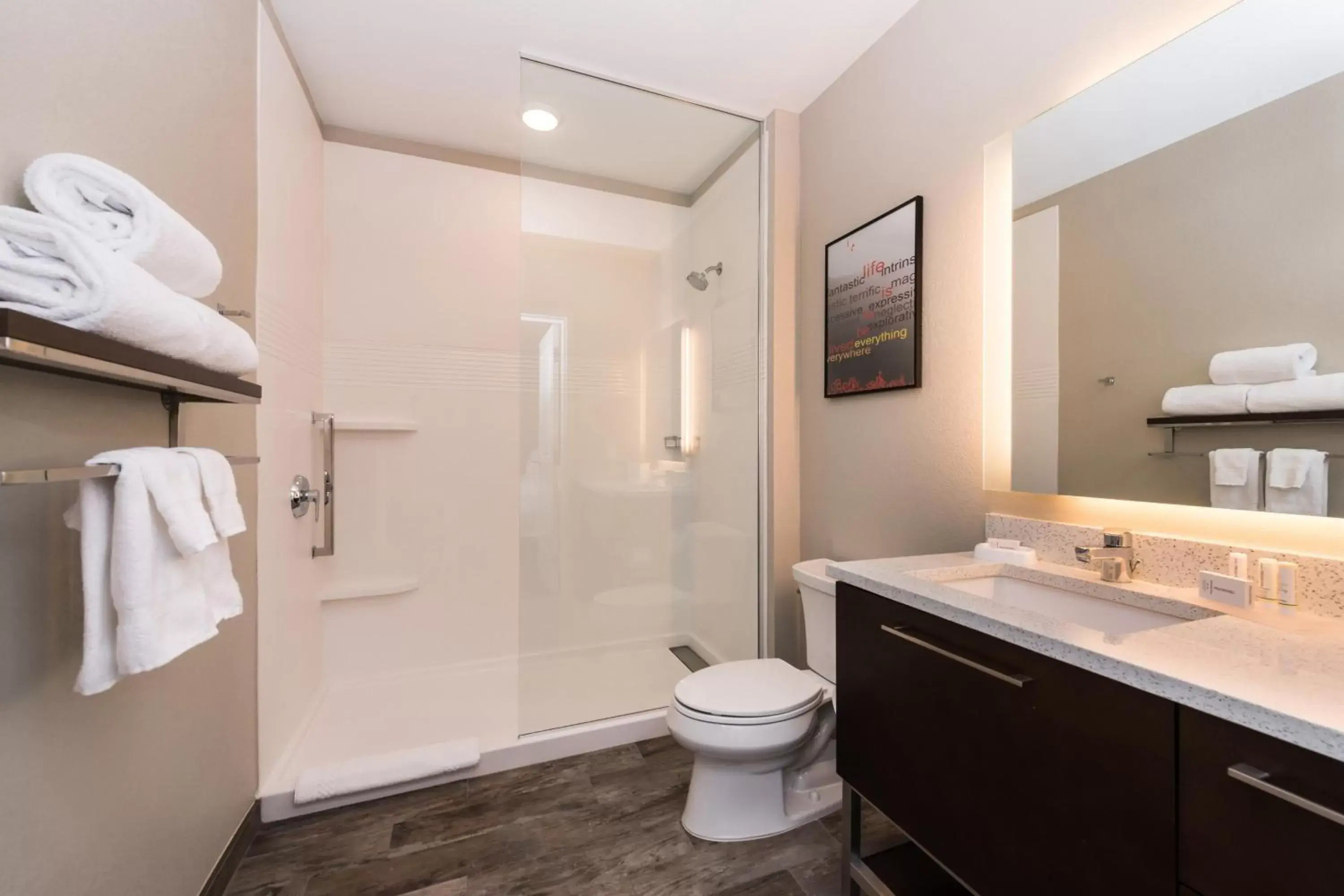 Bathroom in TownePlace Suites by Marriott Potomac Mills Woodbridge