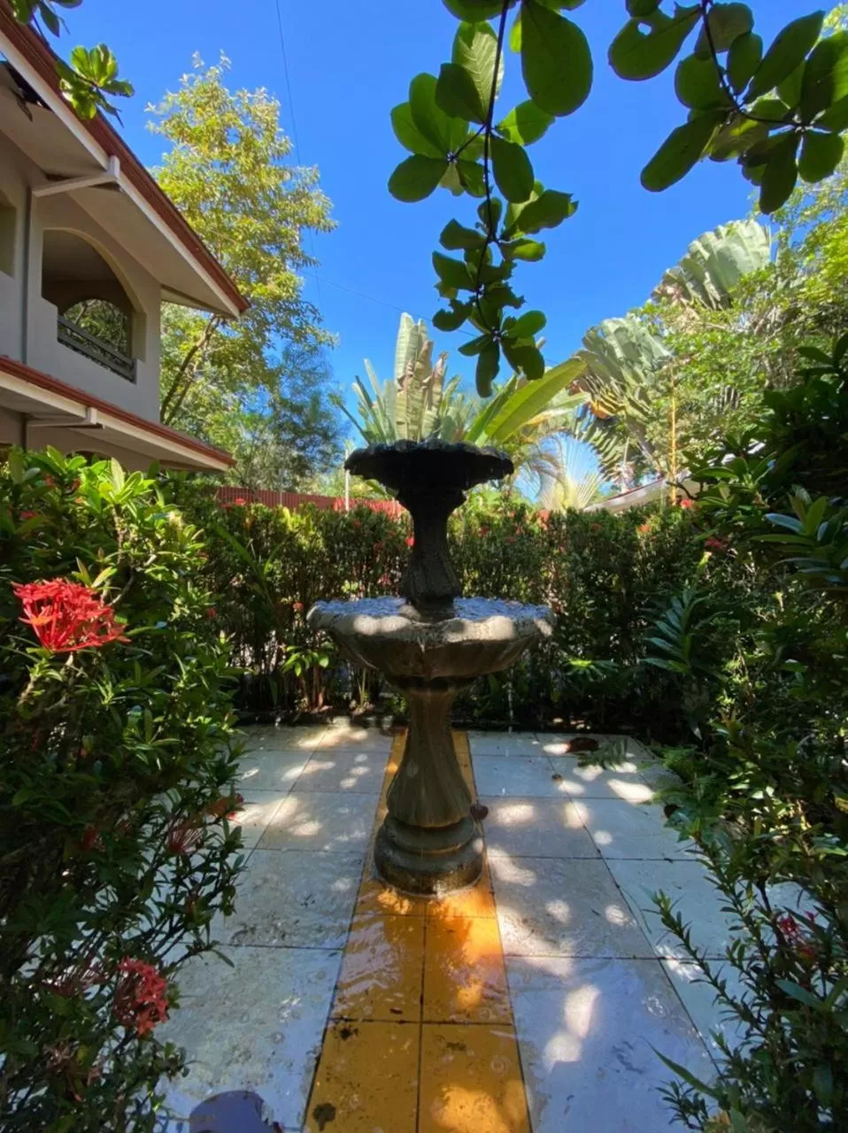 Garden in Hotel Playa Westfalia