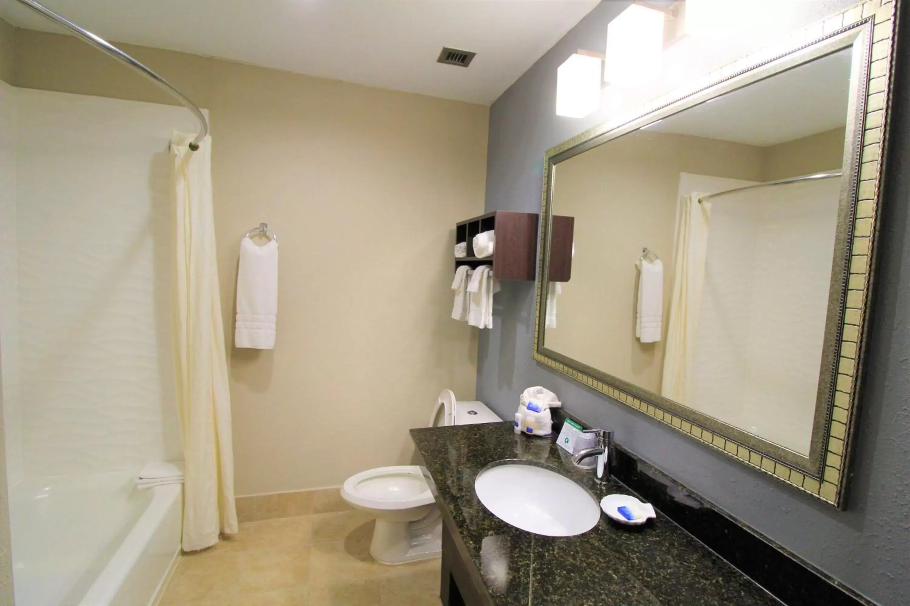 Bathroom in Best Western Albemarle Inn