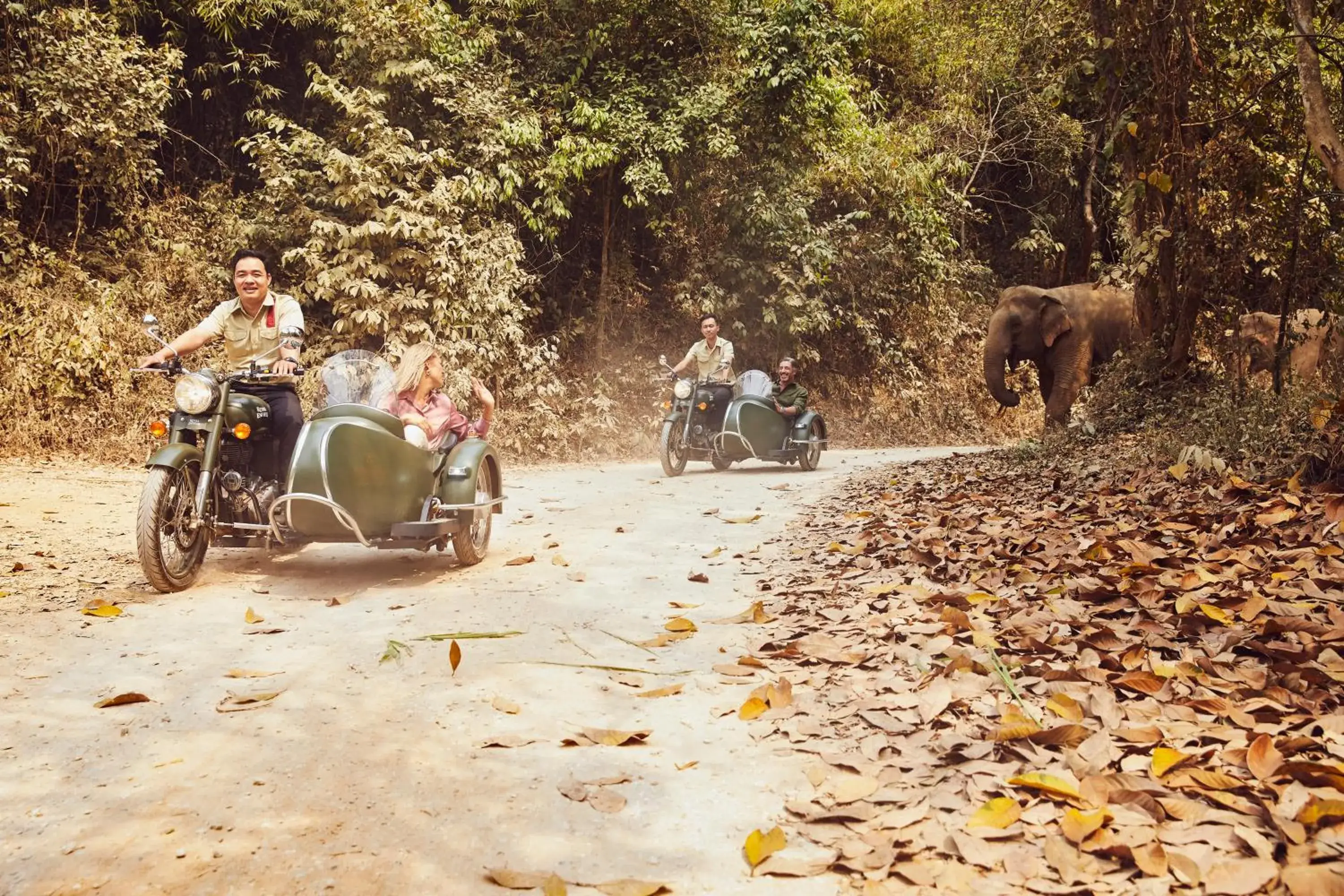Animals in Anantara Golden Triangle Elephant Camp & Resort