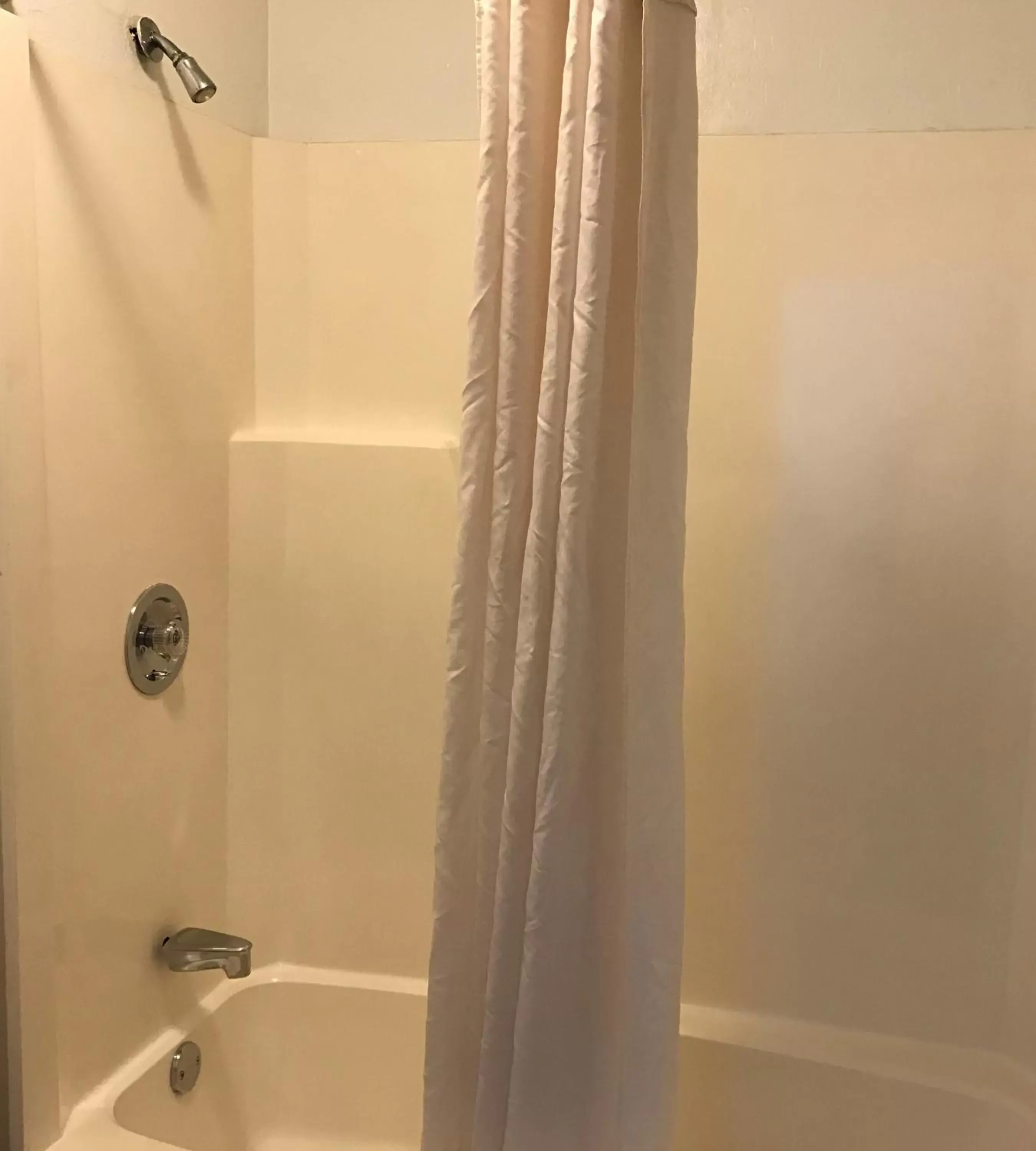 Shower, Bathroom in Royal Regency Inn