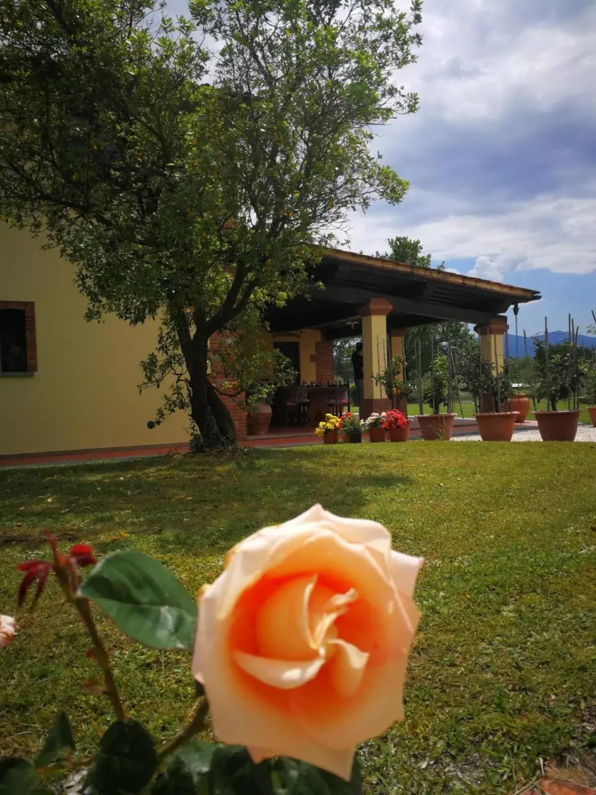 B&B La Fornace del Sole