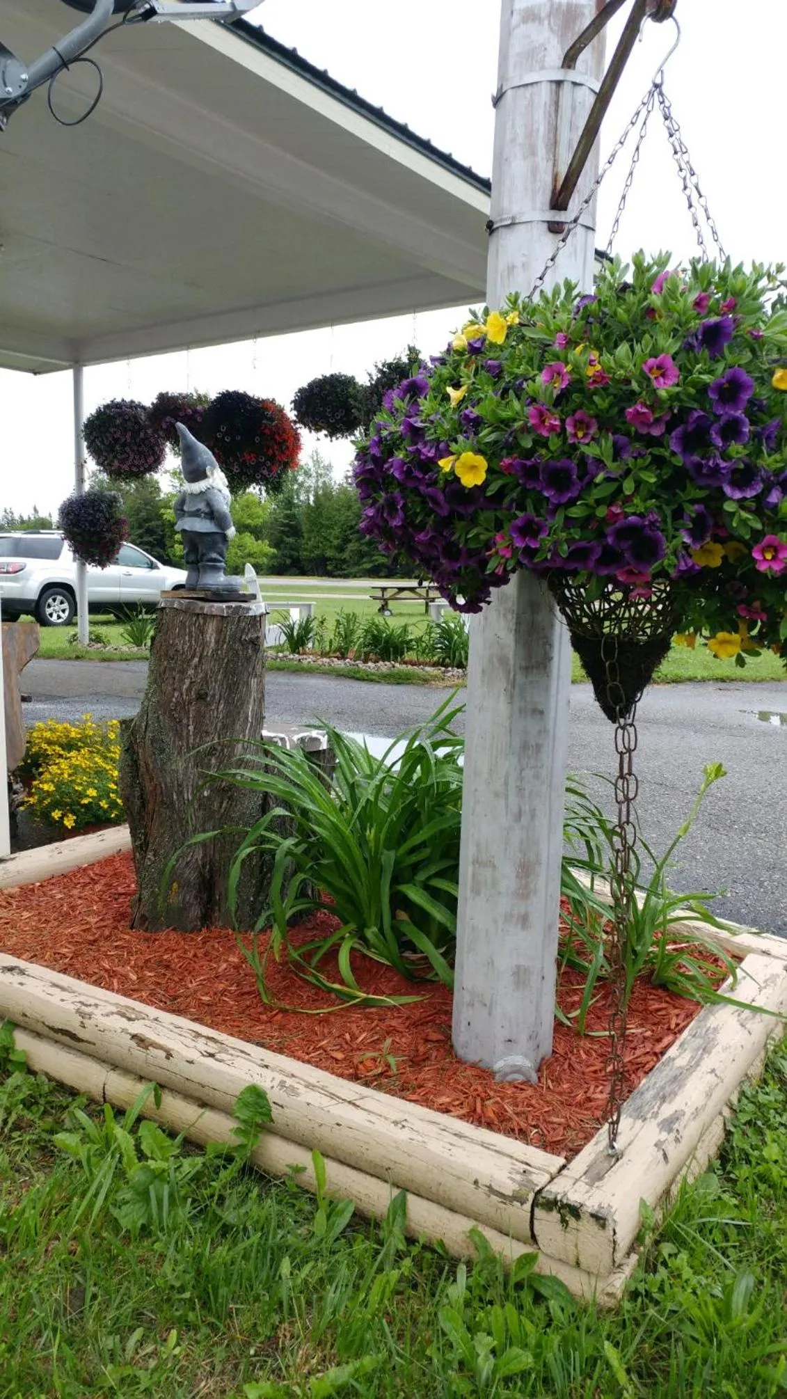 Sunset Motel at Armand's Gardens