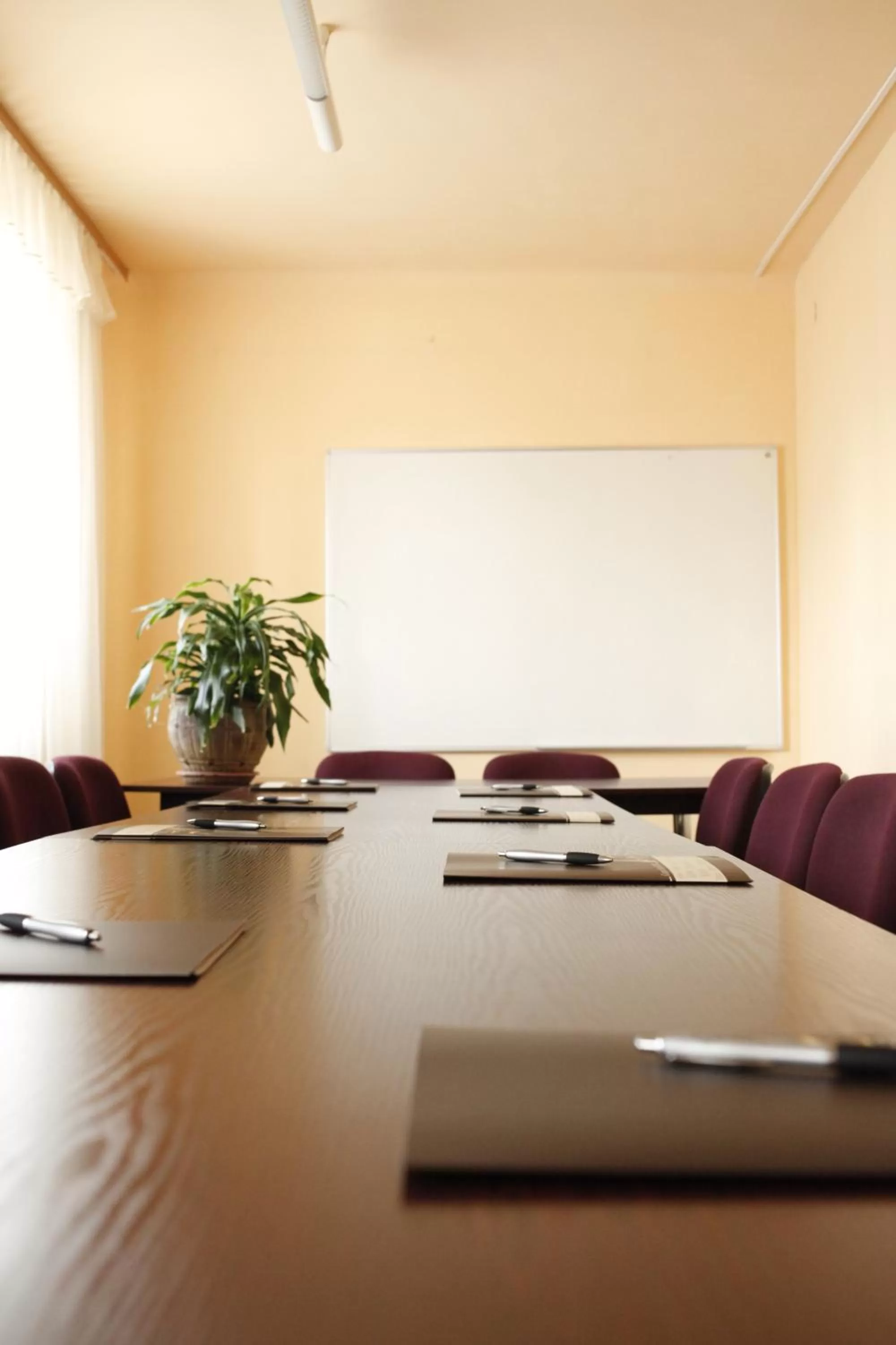 Meeting/conference room in Iskra