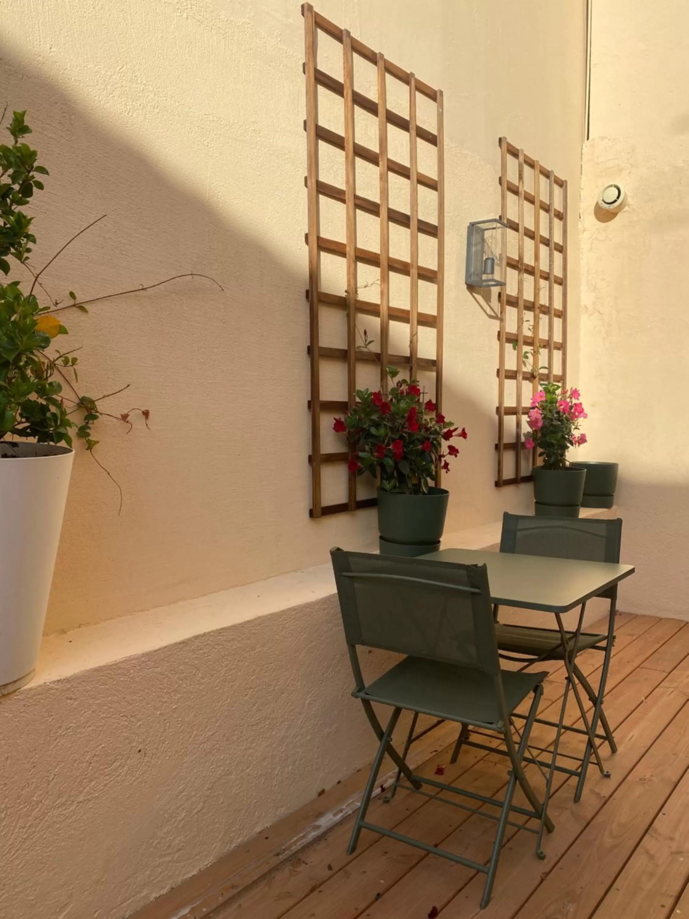 Patio in Villa TerraMera Hôtel