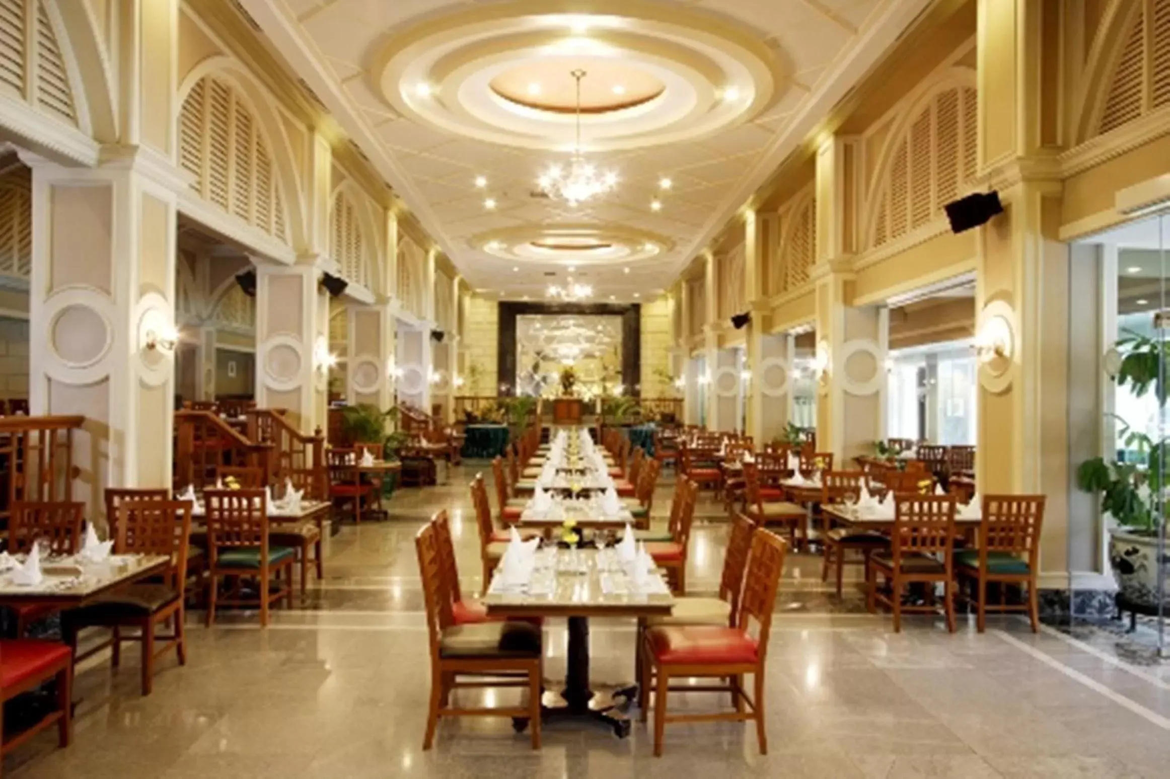 Restaurant/places to eat in Patong Resort Hotel - SHA Extra Plus Restaurant/places to eat in Patong Resort Hotel - SHA Extra Plus