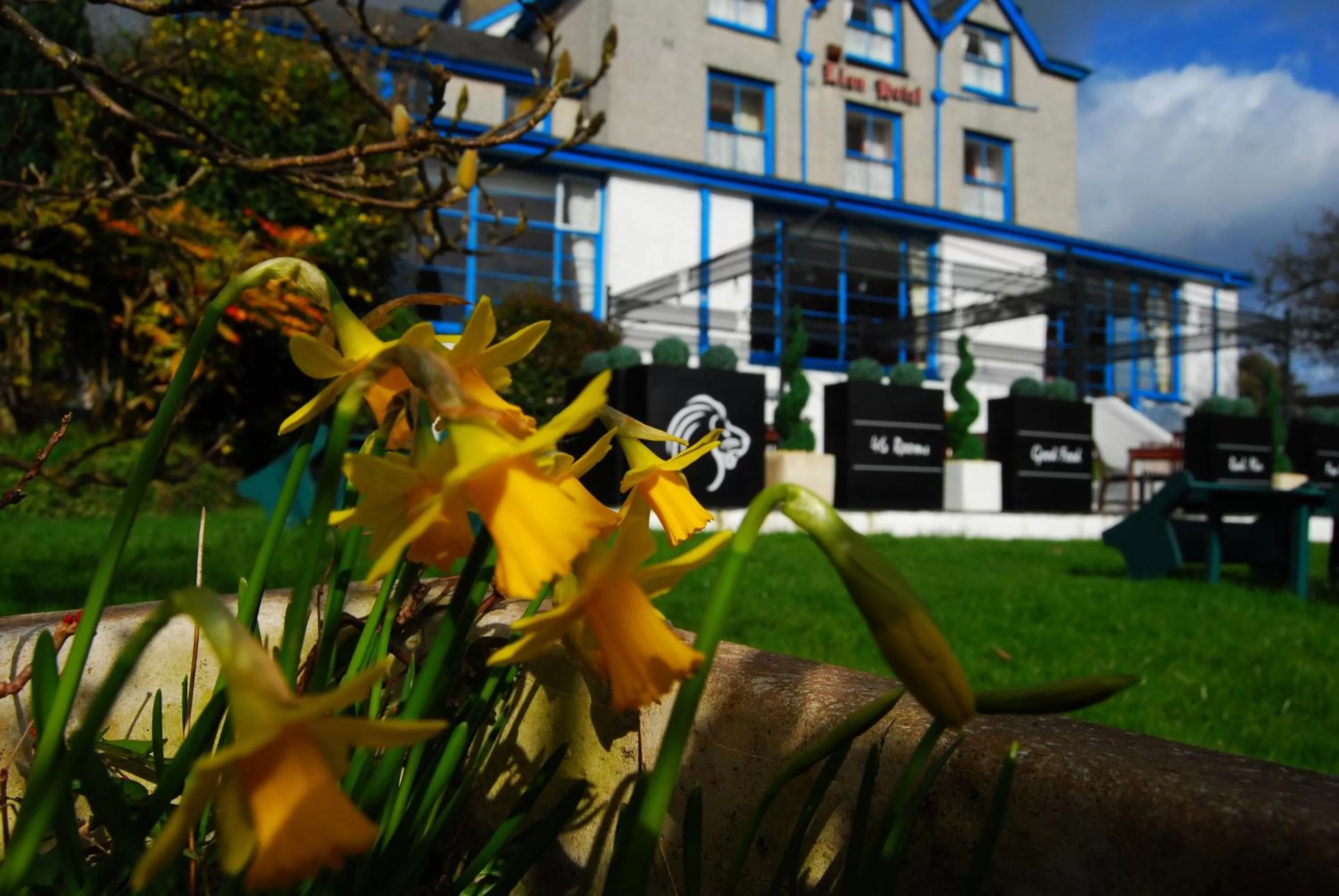 Property building in Lion Hotel & Studio Apartments