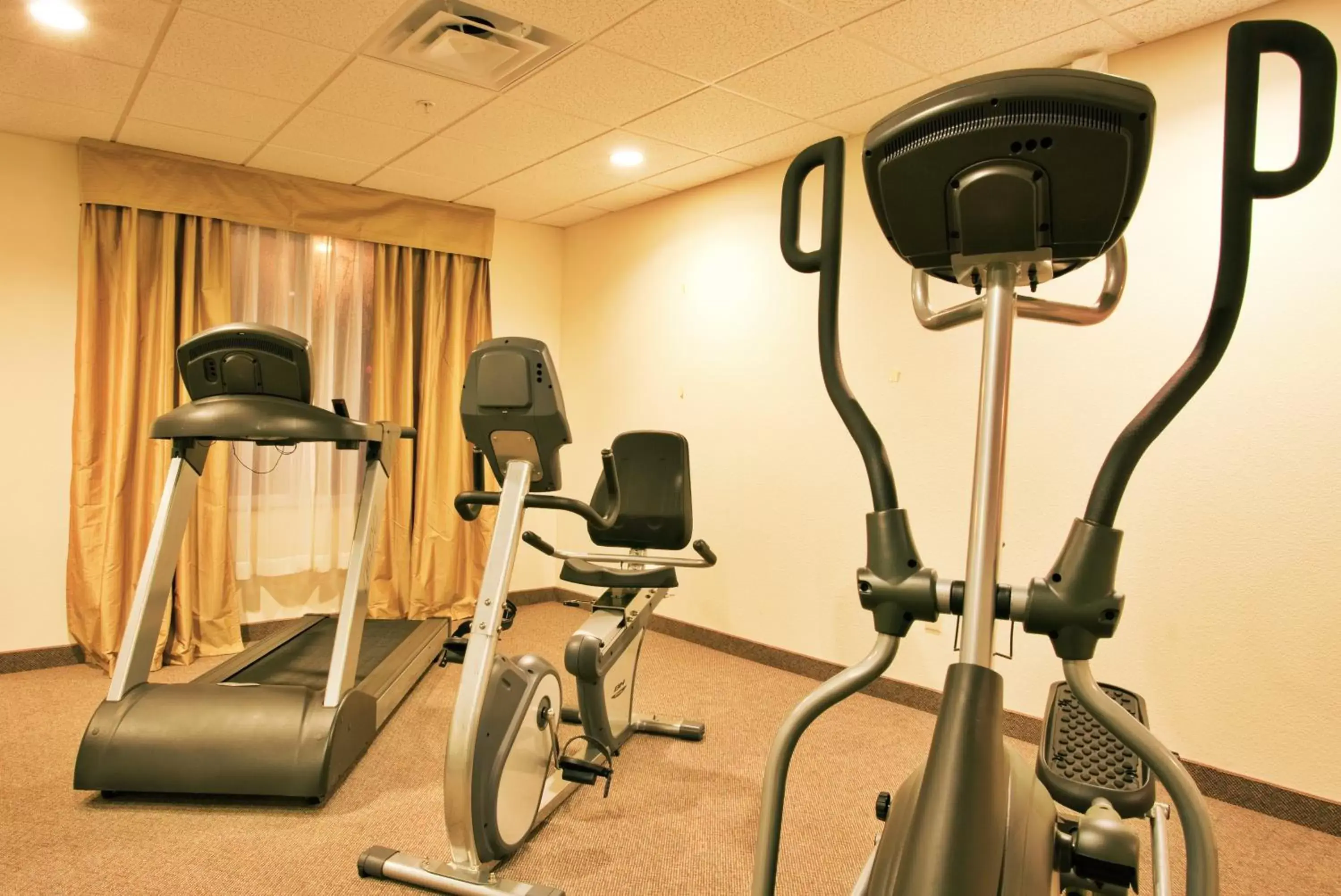 Spa and wellness centre/facilities, Fitness Center/Facilities in Holiday Inn Express Hotel & Suites Brooksville-I-75, an IHG Hotel
