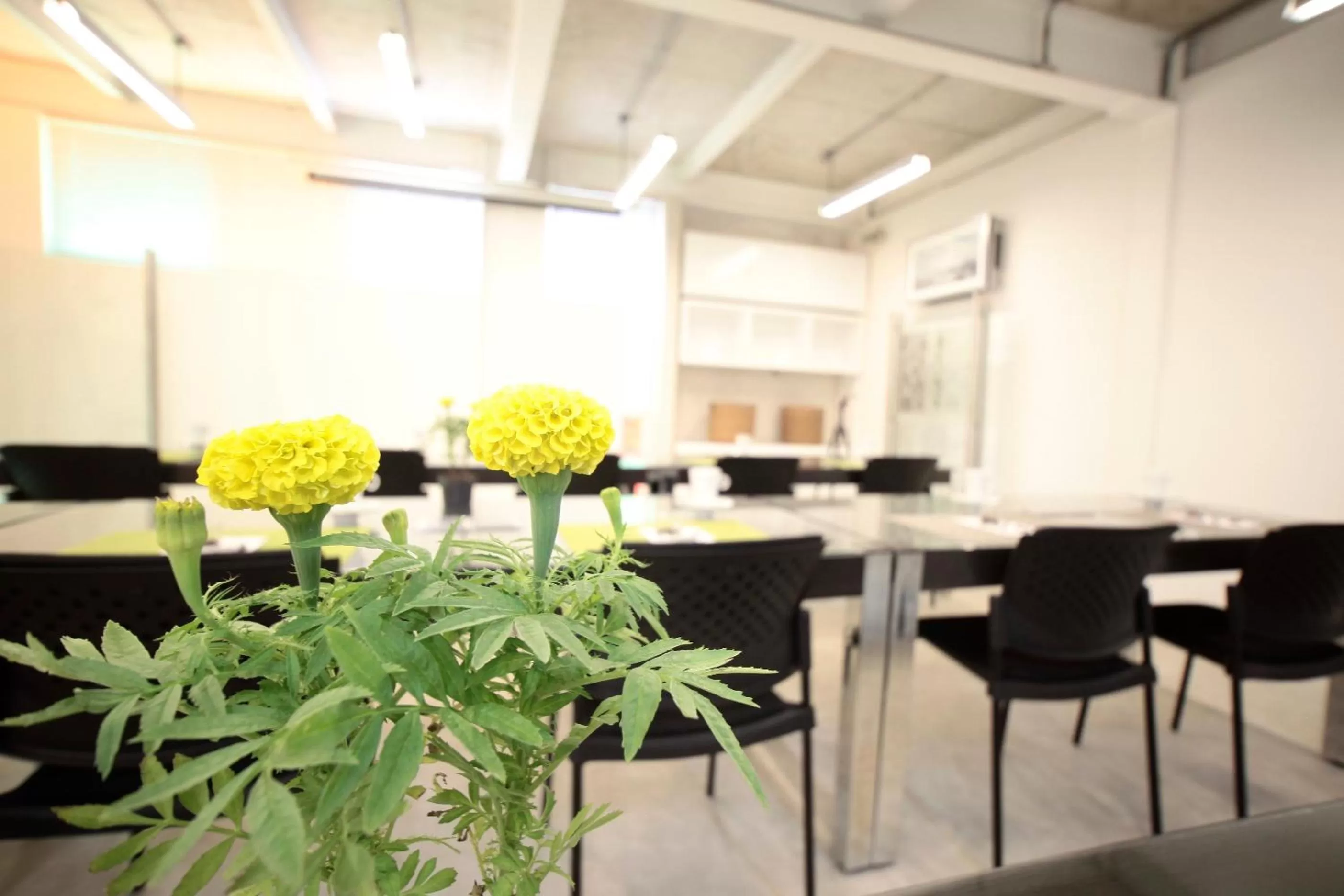 Living room in Now Hotel Cali