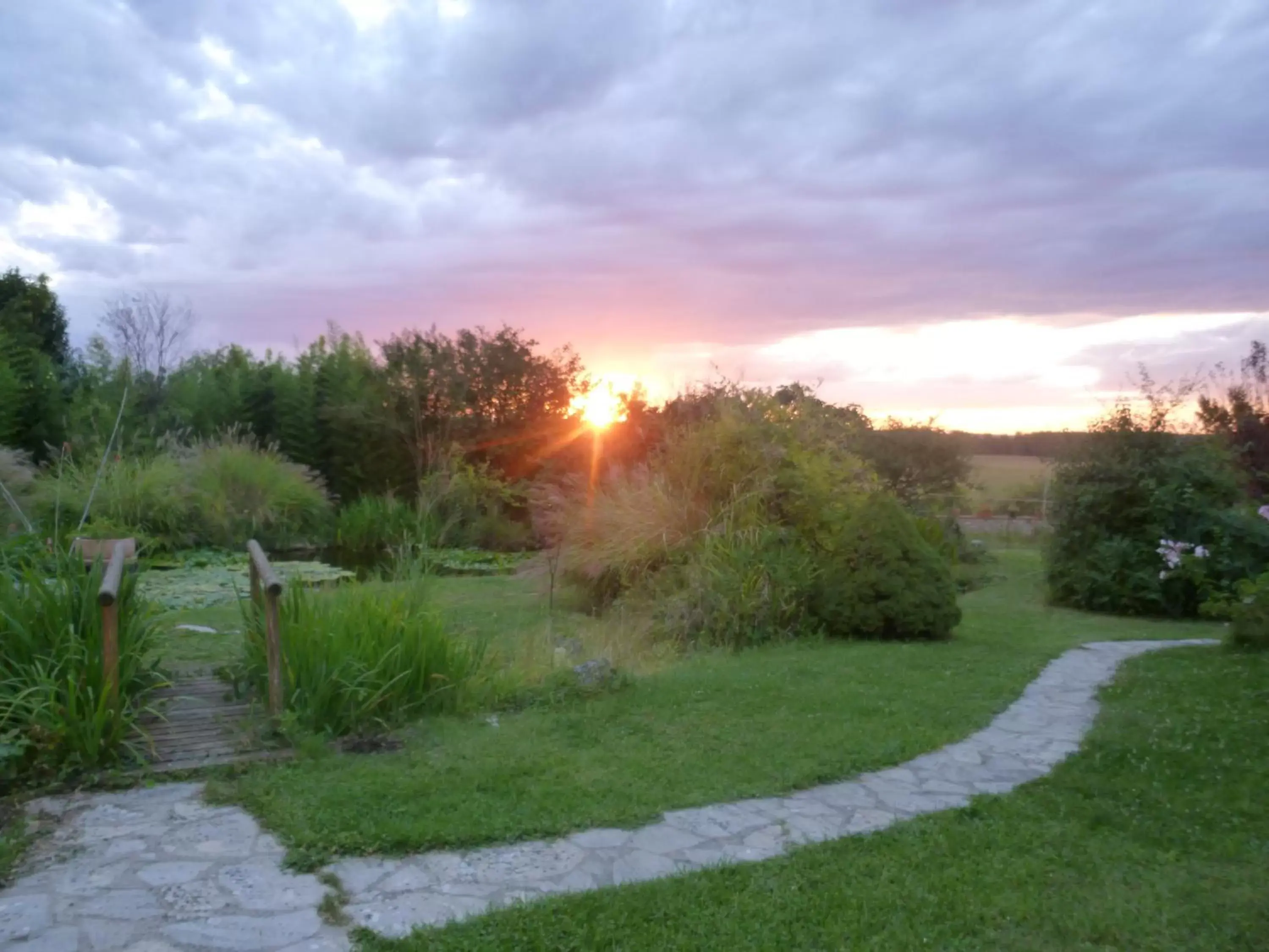 Garden in Clos Muneau