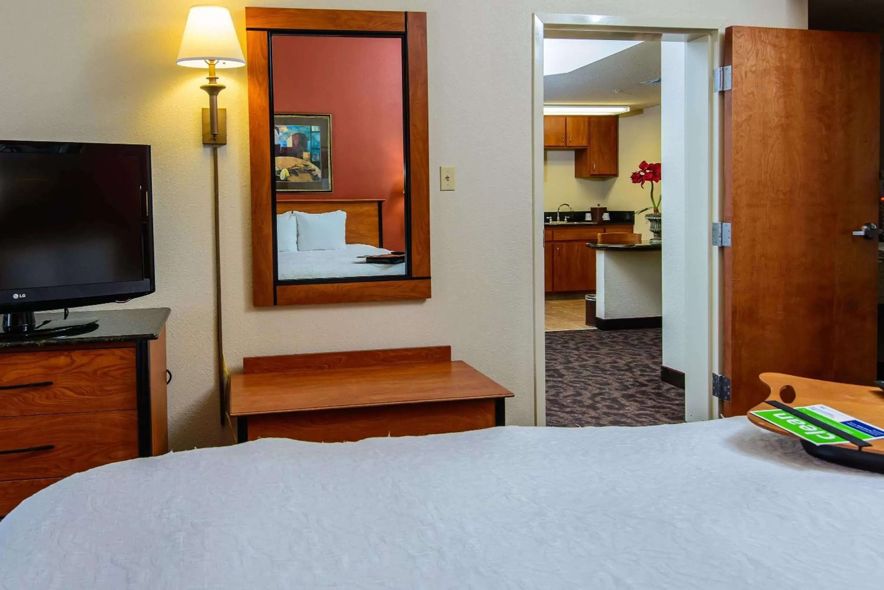 Bed, TV/Entertainment Center in Hampton Inn Houston-Pearland, TX