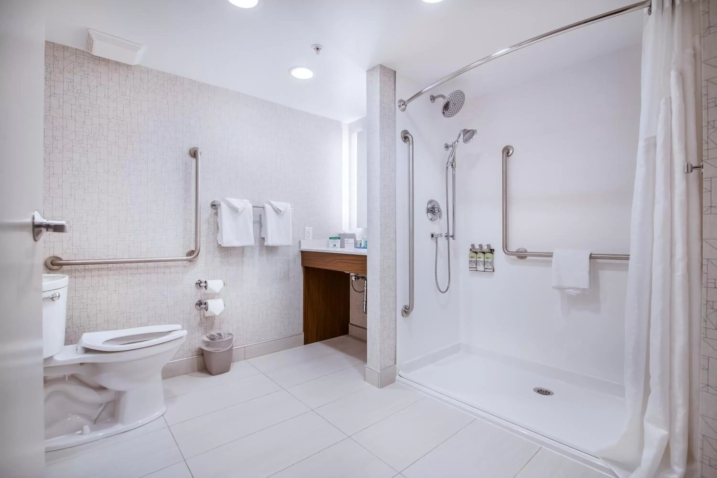 Photo of the whole room, Bathroom in Holiday Inn Express & Suites Langley, an IHG Hotel