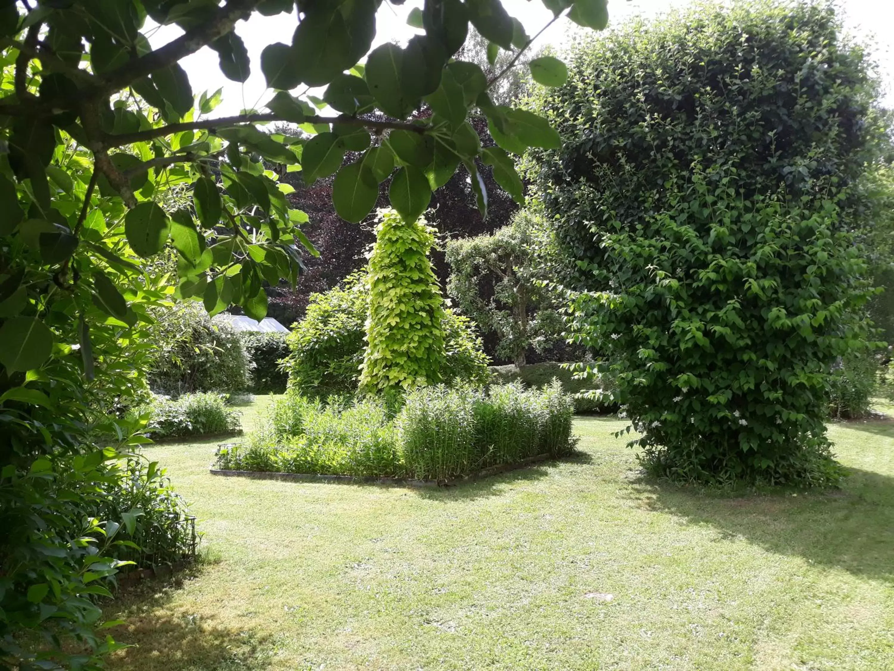 Garden in Le buisson de la Gariole