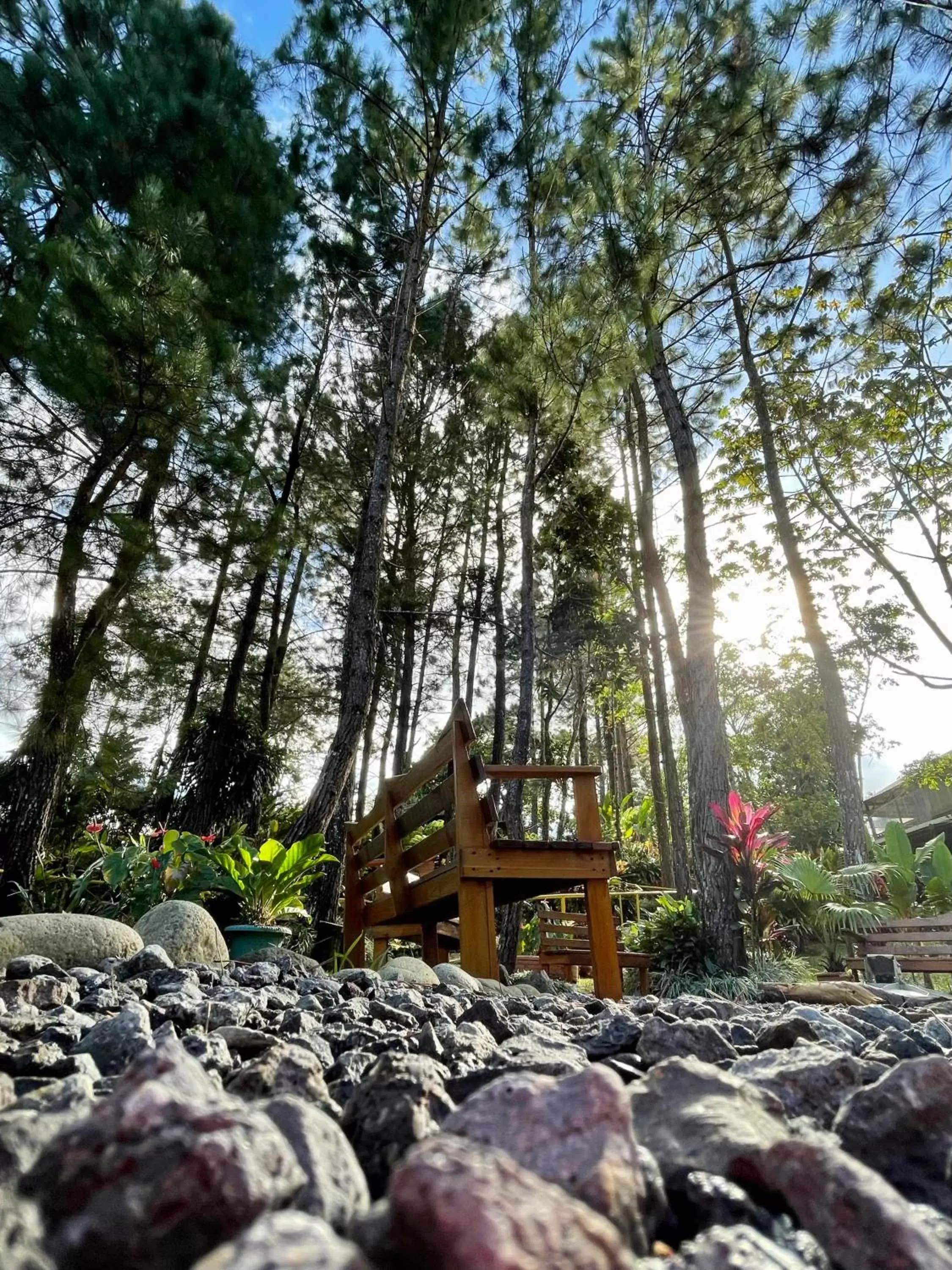 Garden in Vista Turrialba Lodge