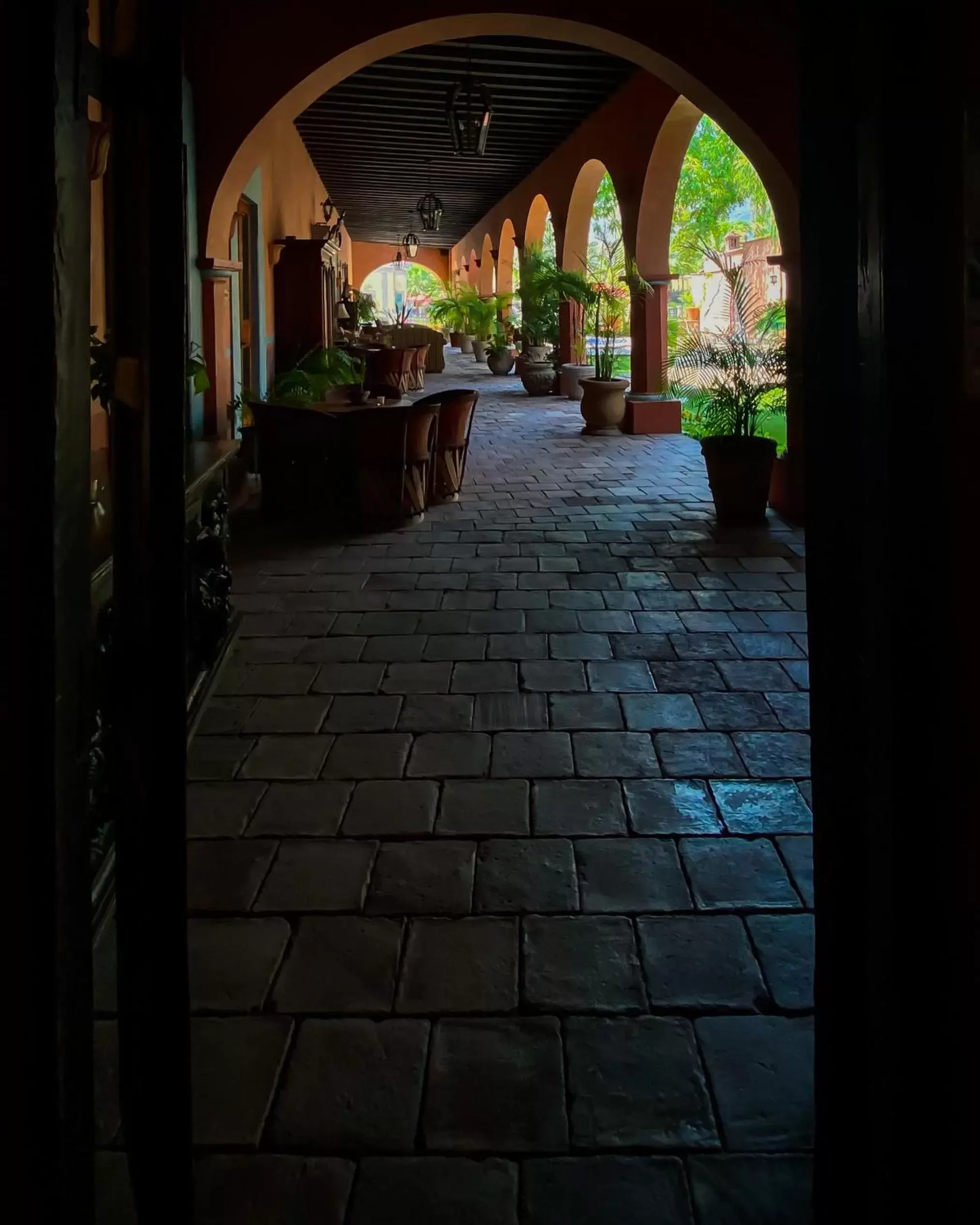 Garden in Hacienda de los Santos