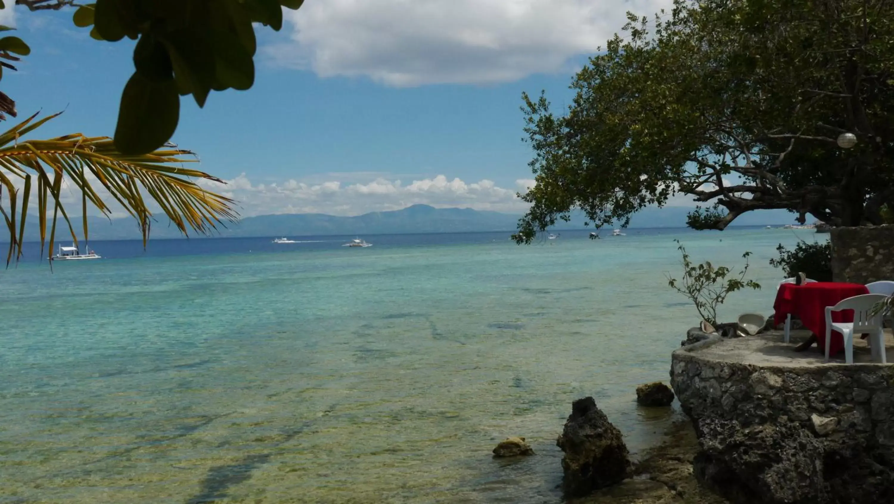 Natural landscape, Beach in Moalboal T Breeze Coastal Resort