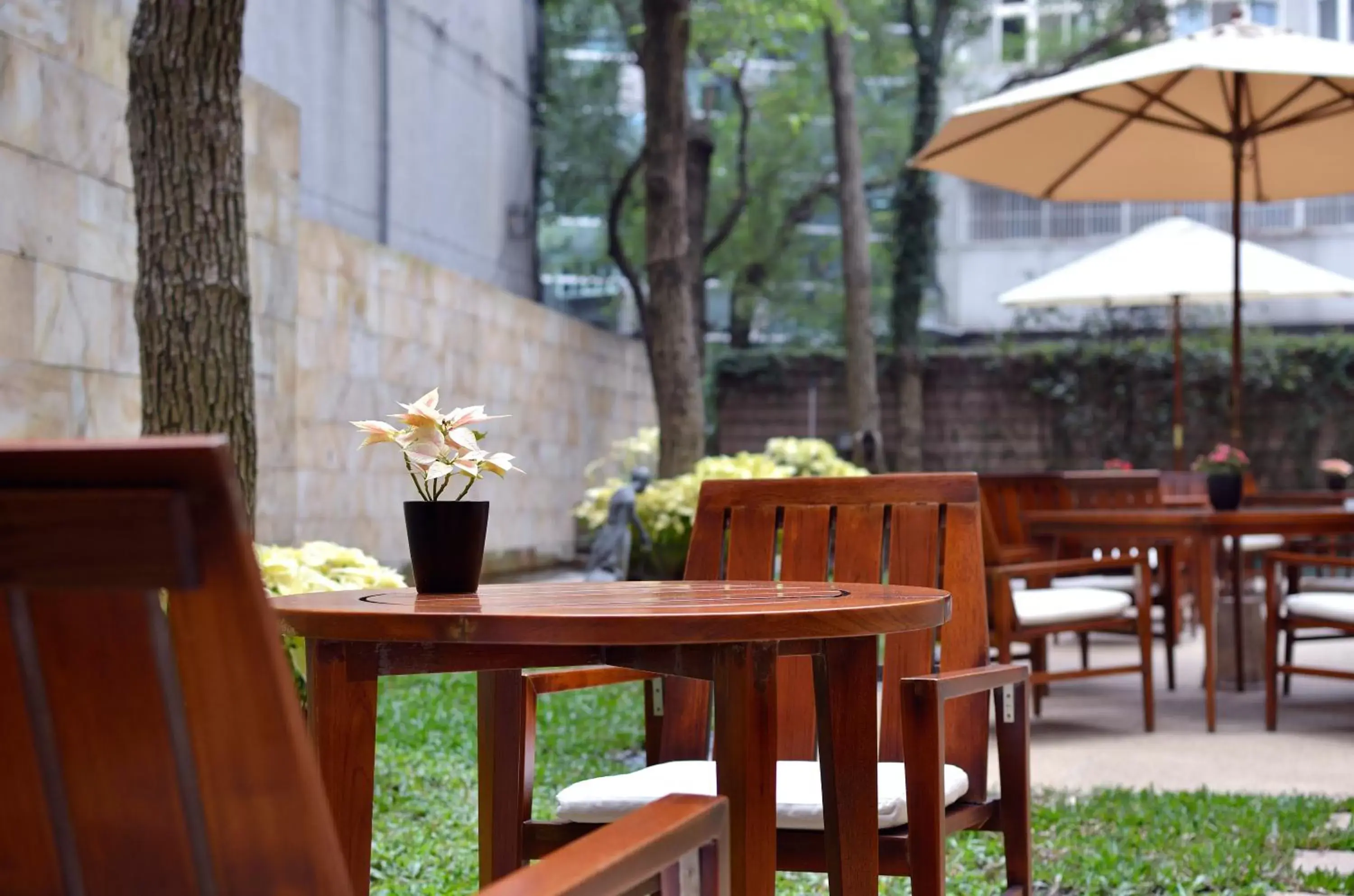 Patio, Restaurant/Places to Eat in les suites taipei ching cheng