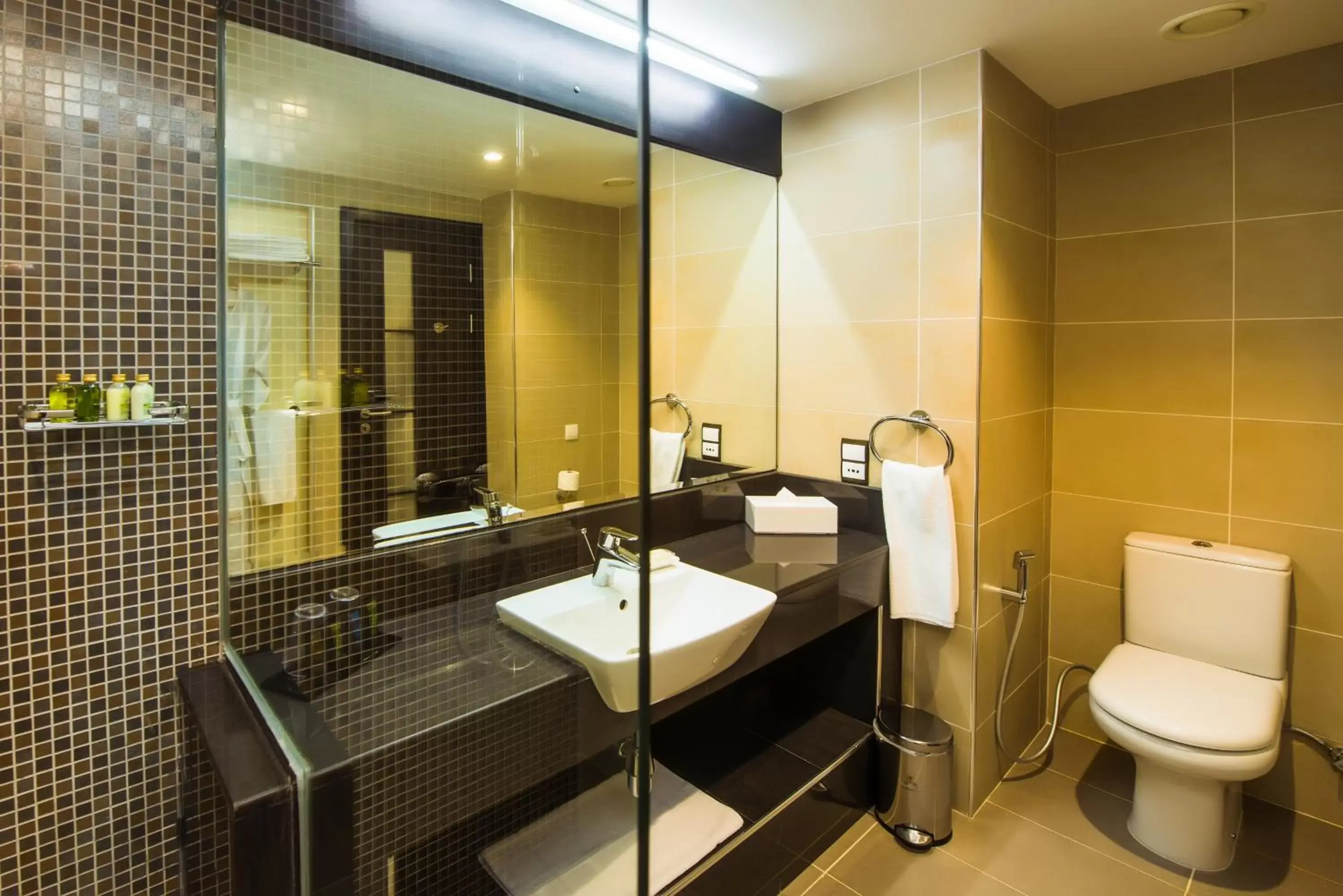 Toilet, Bathroom in Ramada Resort By Wyndham Dar es Salaam
