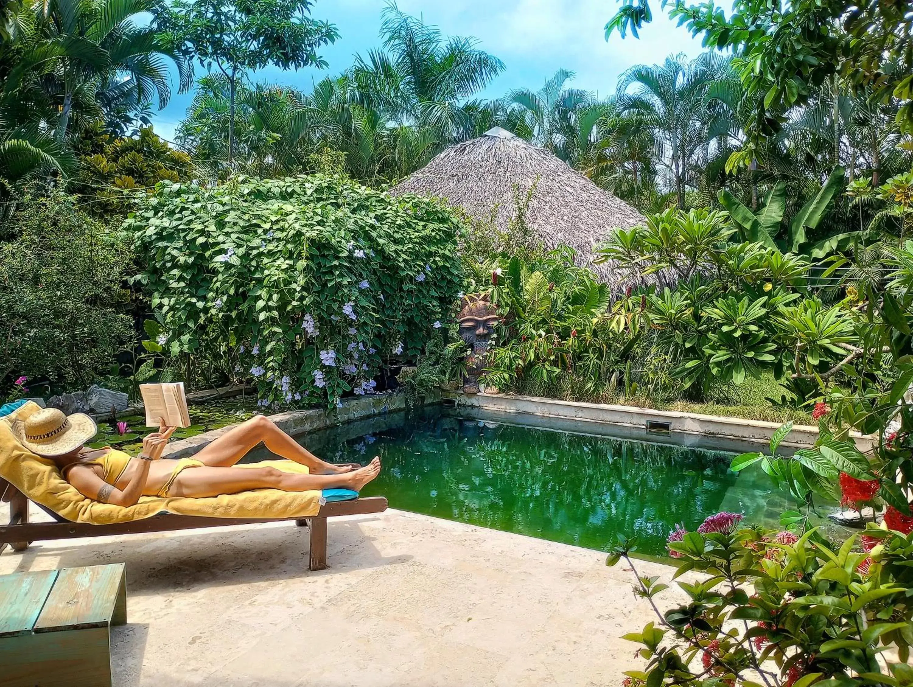 Pool view, Swimming Pool in Casa Picaflor