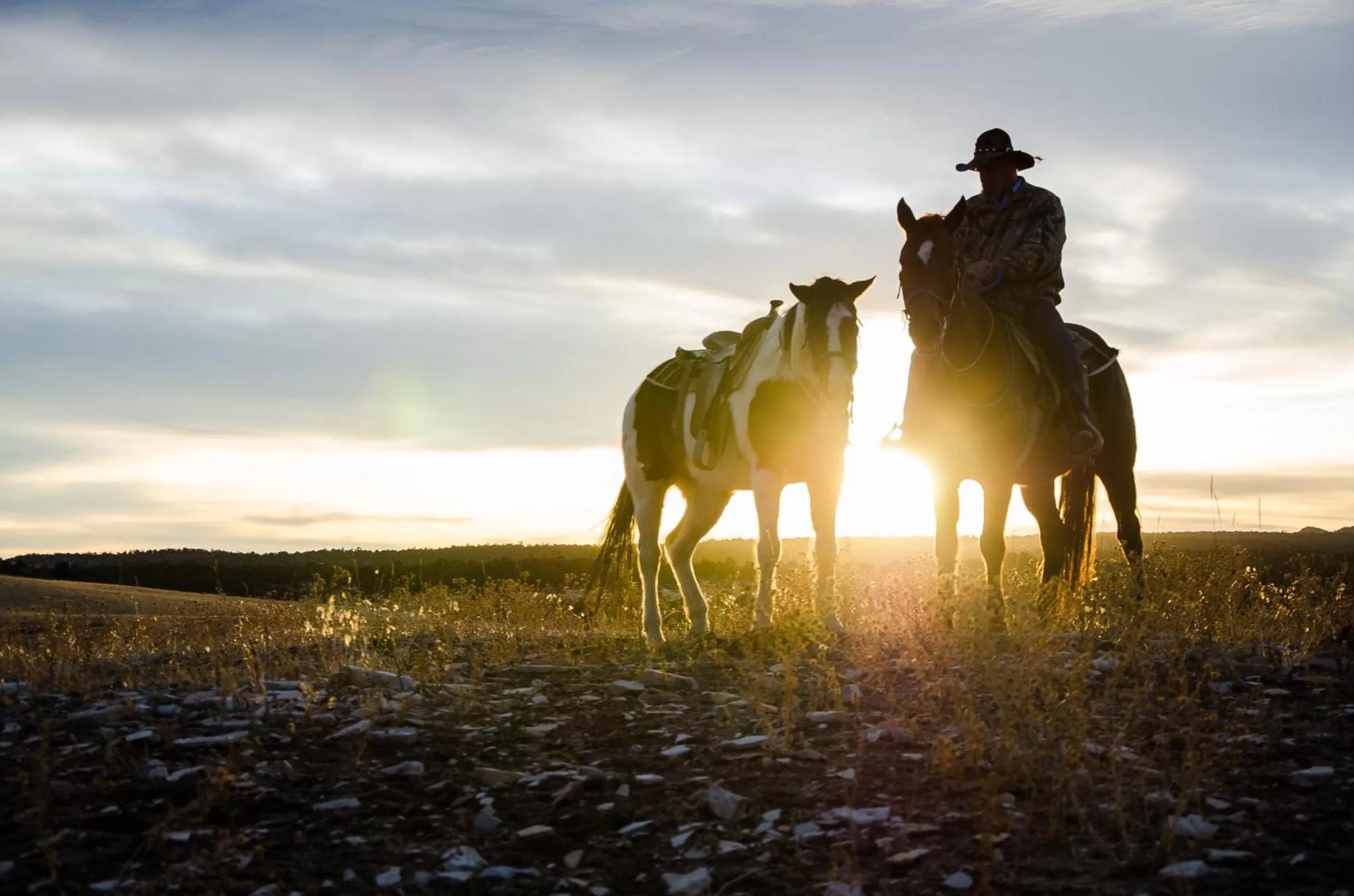 Horse-riding in Zion Mountain Ranch