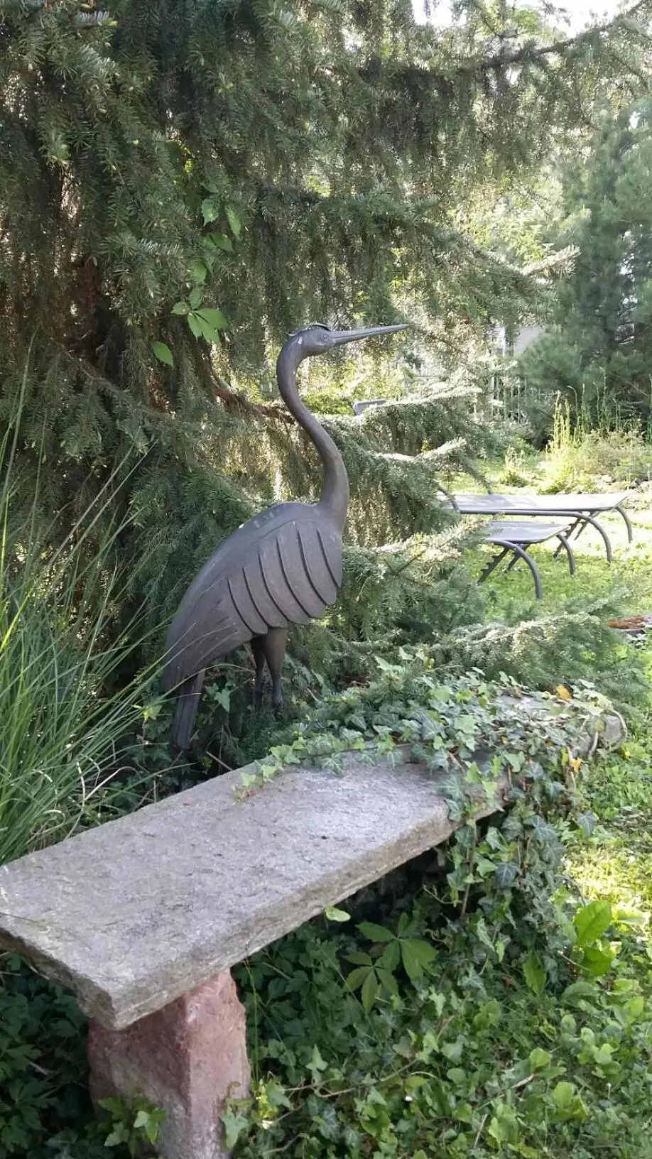 Garden in B&B Kalimera Pratteln