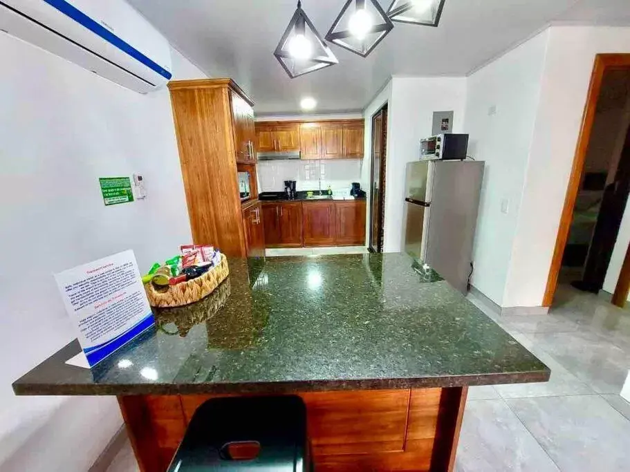 Kitchen or kitchenette, Kitchen/Kitchenette in Airport SJO Residence - Edward & Familia Inn