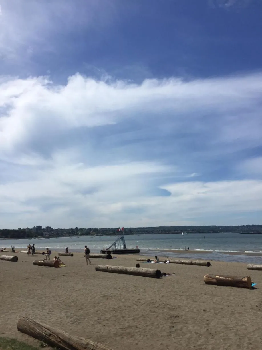 Beach in The Sylvia Hotel