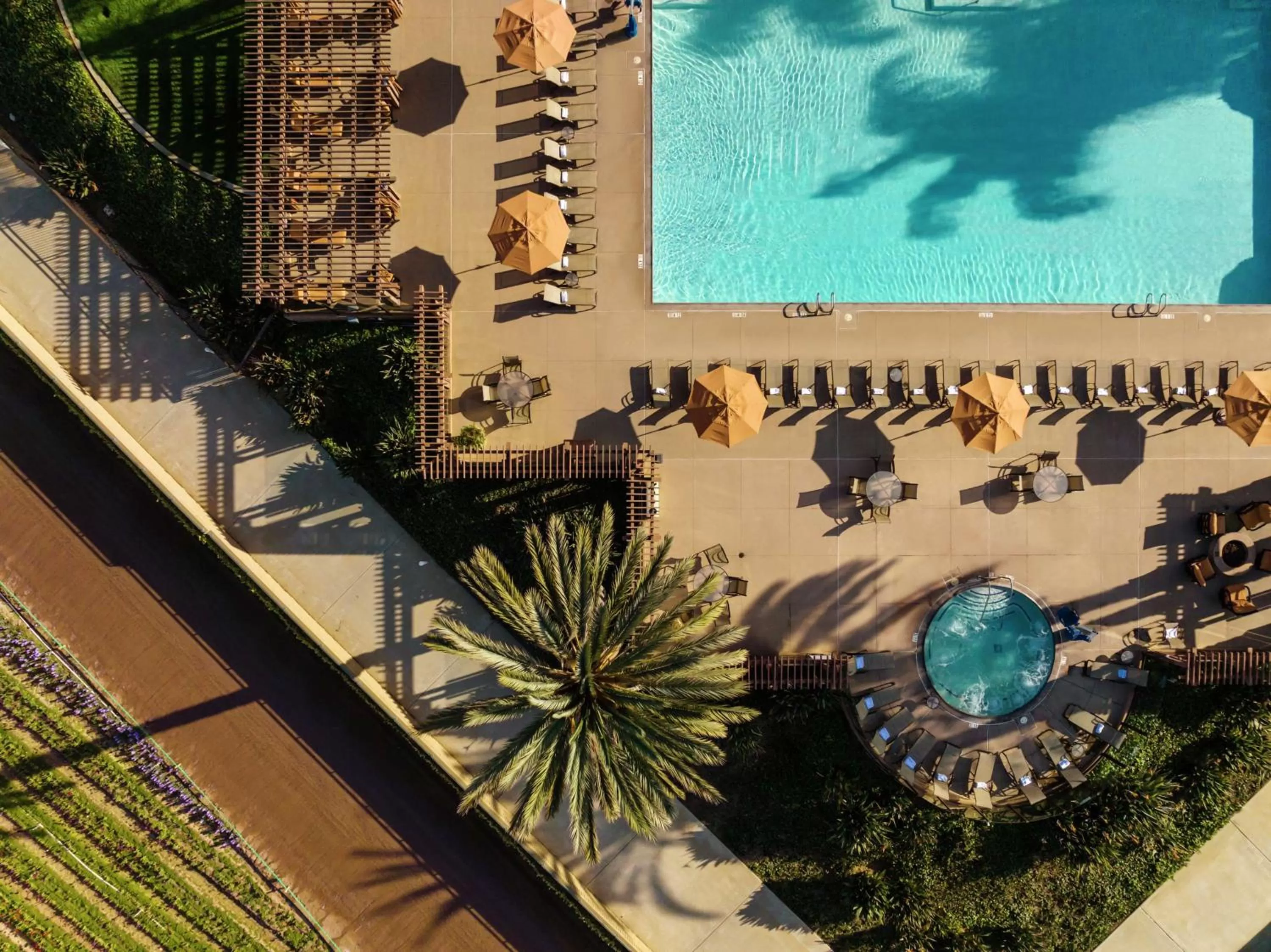 Pool view in The Cassara Carlsbad, Tapestry Collection By Hilton
