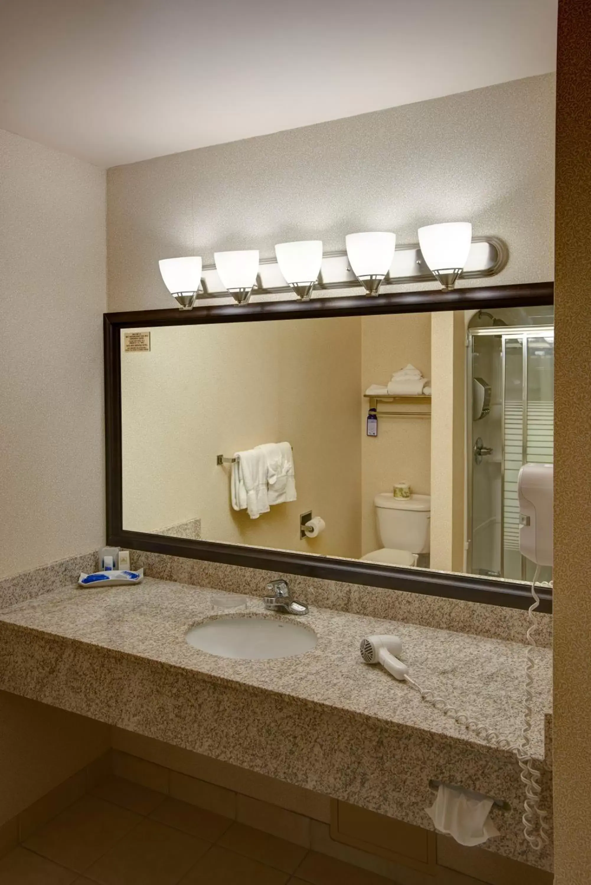 Bathroom in Best Western Brantford Hotel and Conference Centre