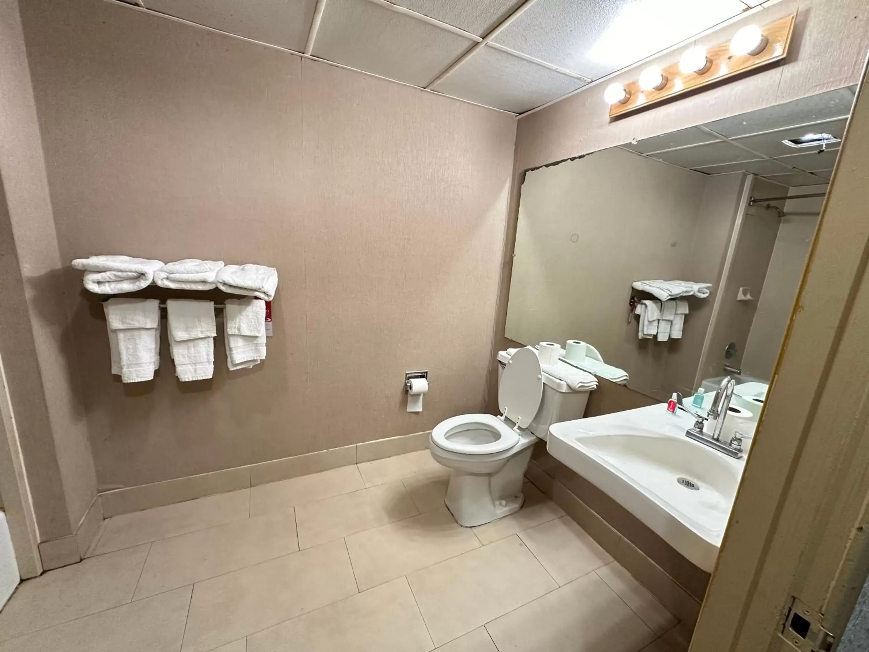 Toilet, Bathroom in Econo Lodge Scranton