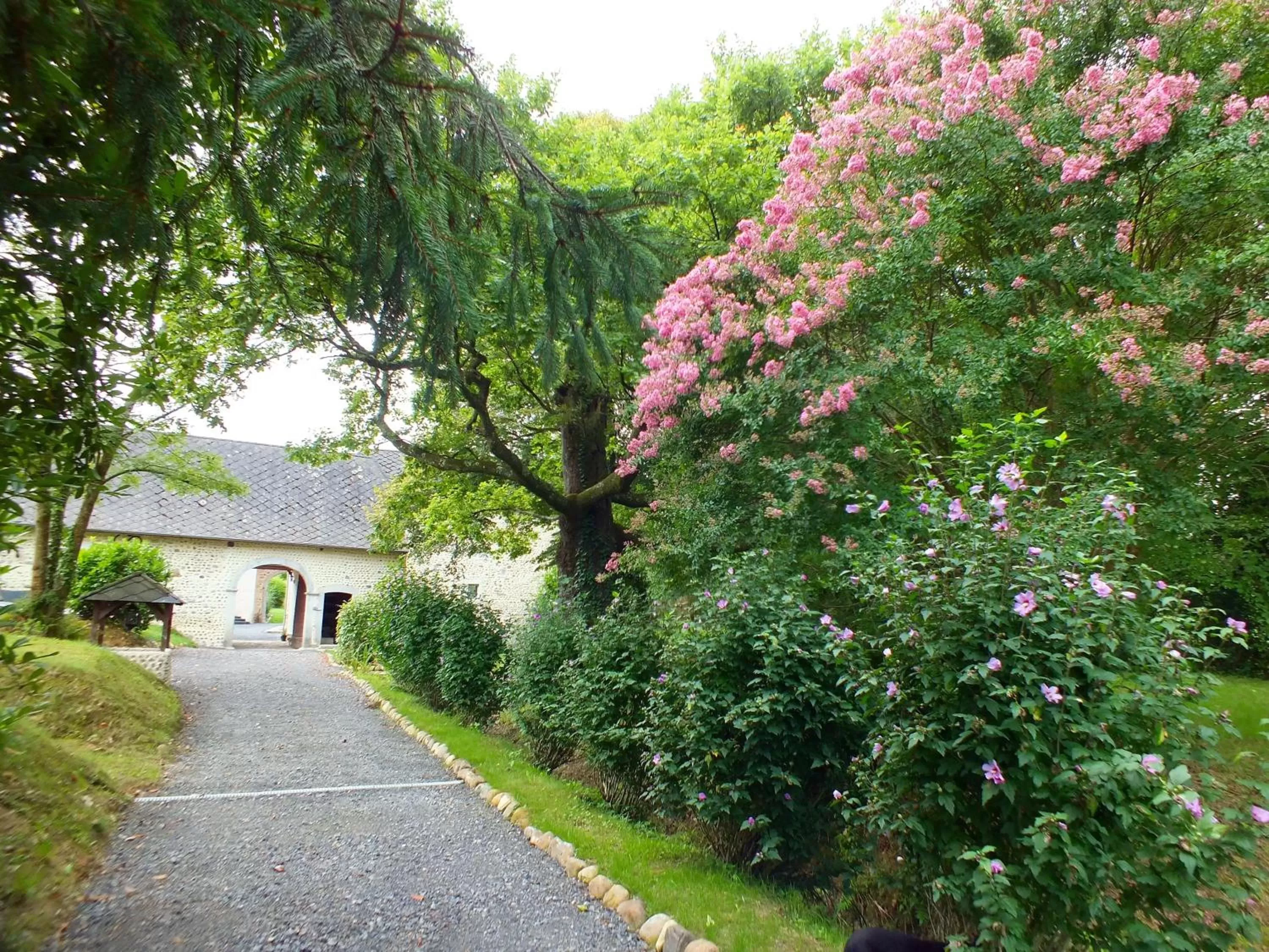 Facade/entrance, Garden in B&B Au Moulin 1771