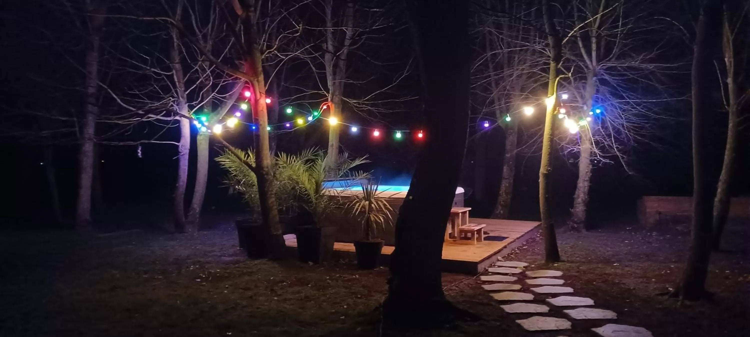 Night in La Carte Postale